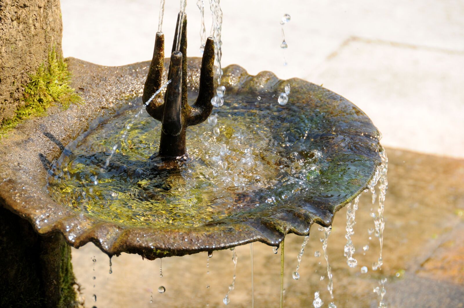 Nikon D300 sample photo. Fountain, water, pond photography