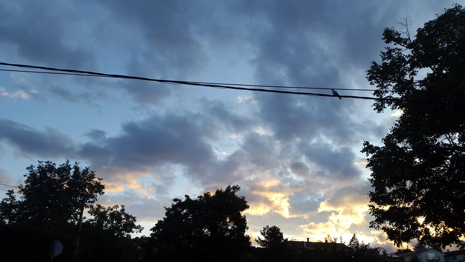 Samsung Galaxy Alpha sample photo. Bird, morning, sky, sun photography