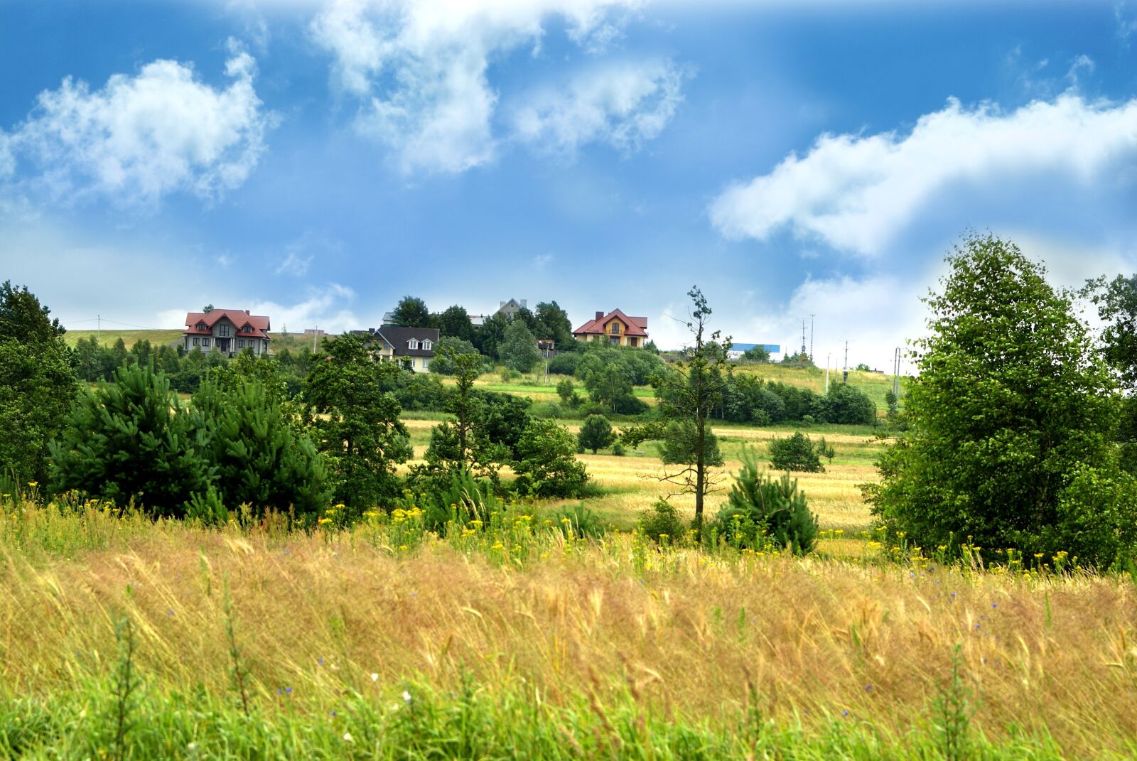 Sony Alpha DSLR-A200 sample photo. Scenery, kielce, sky photography