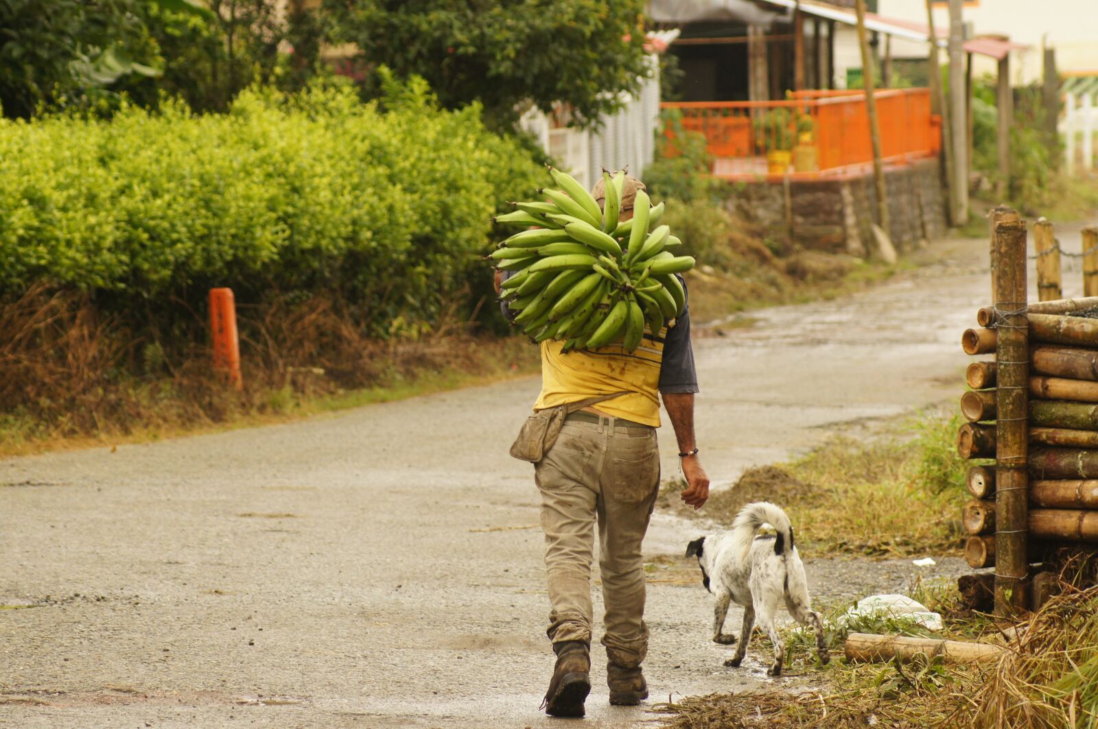 Sony SLT-A55 (SLT-A55V) sample photo. Peasants, finlandia, quindio photography