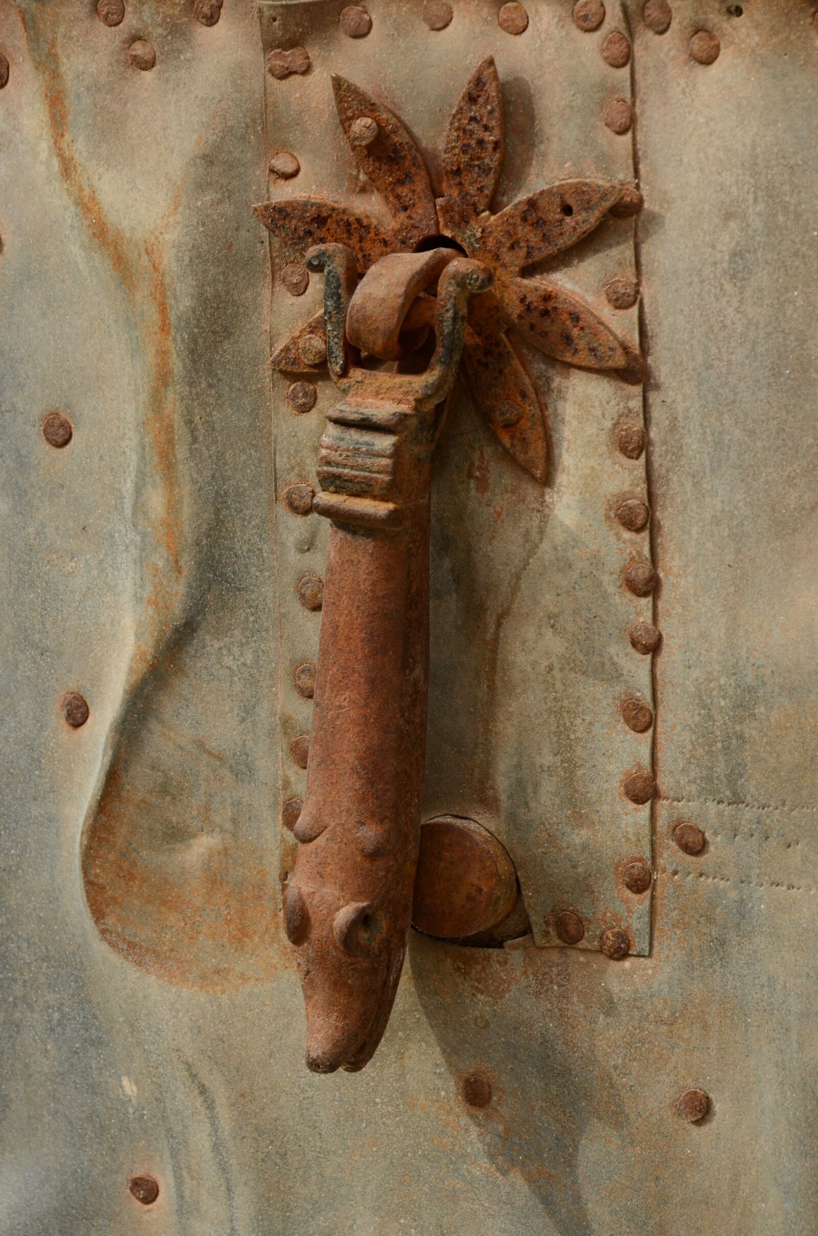Nikon D7000 sample photo. Knocker, door, door knocker photography