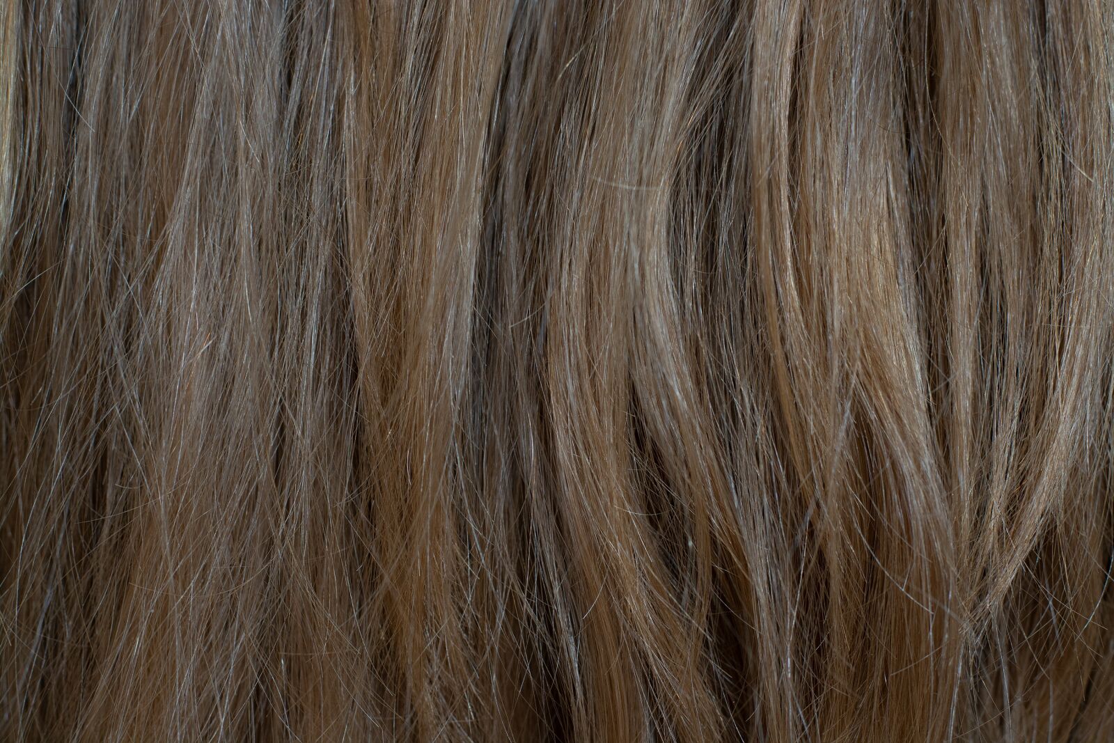 Nikon D7100 sample photo. Hair, medium blonde, blond photography