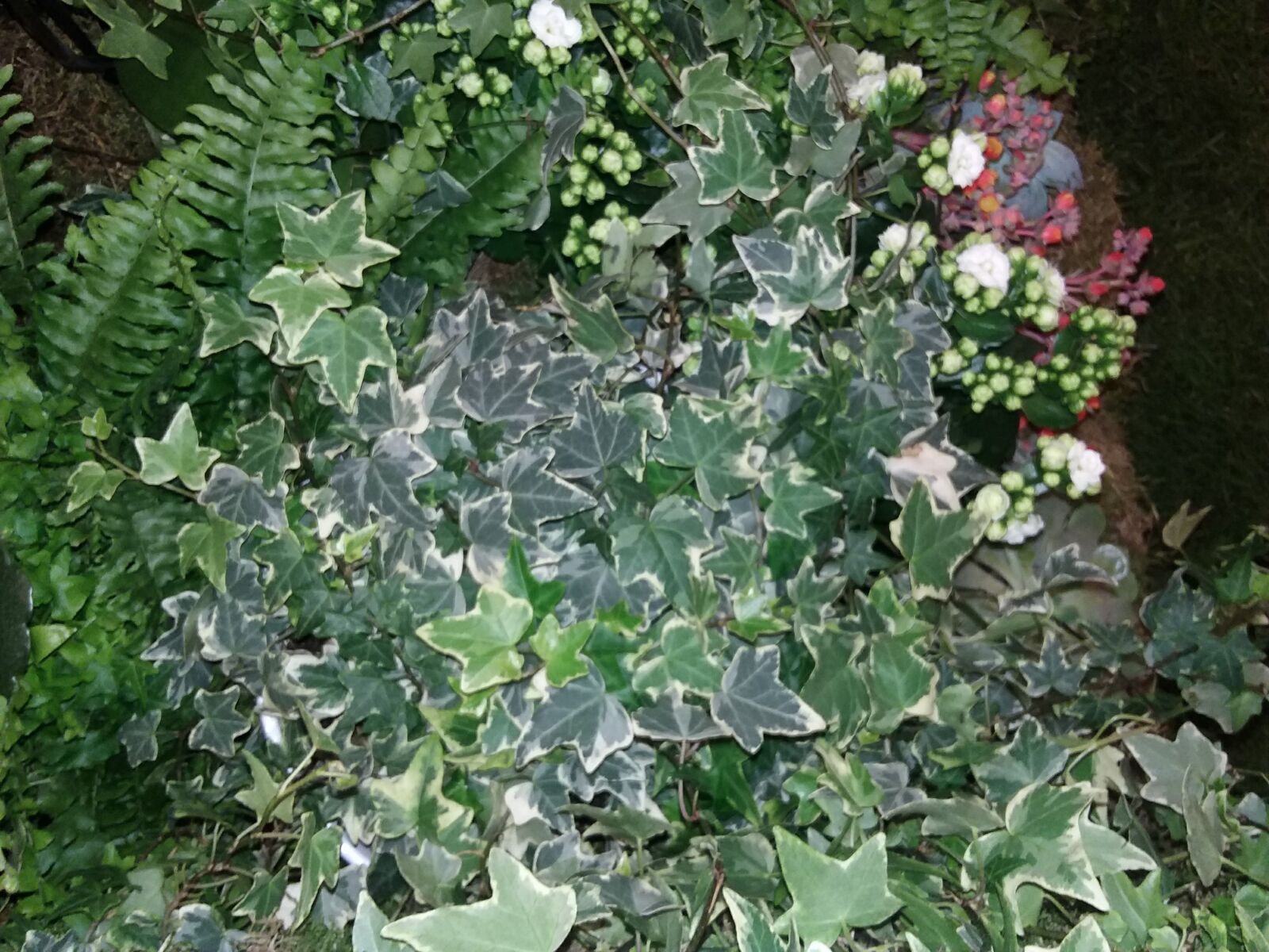 Samsung Galaxy J3(2016) sample photo