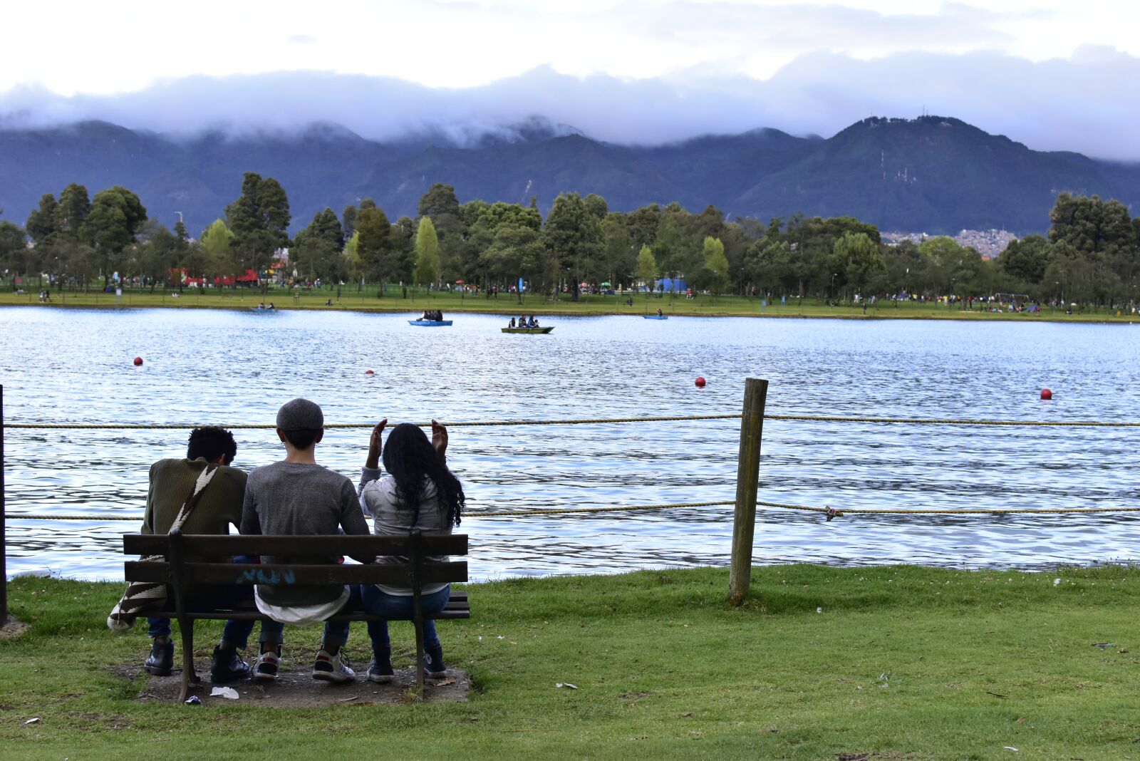 Nikon D5600 sample photo. Park, simon bolivar, landscape photography