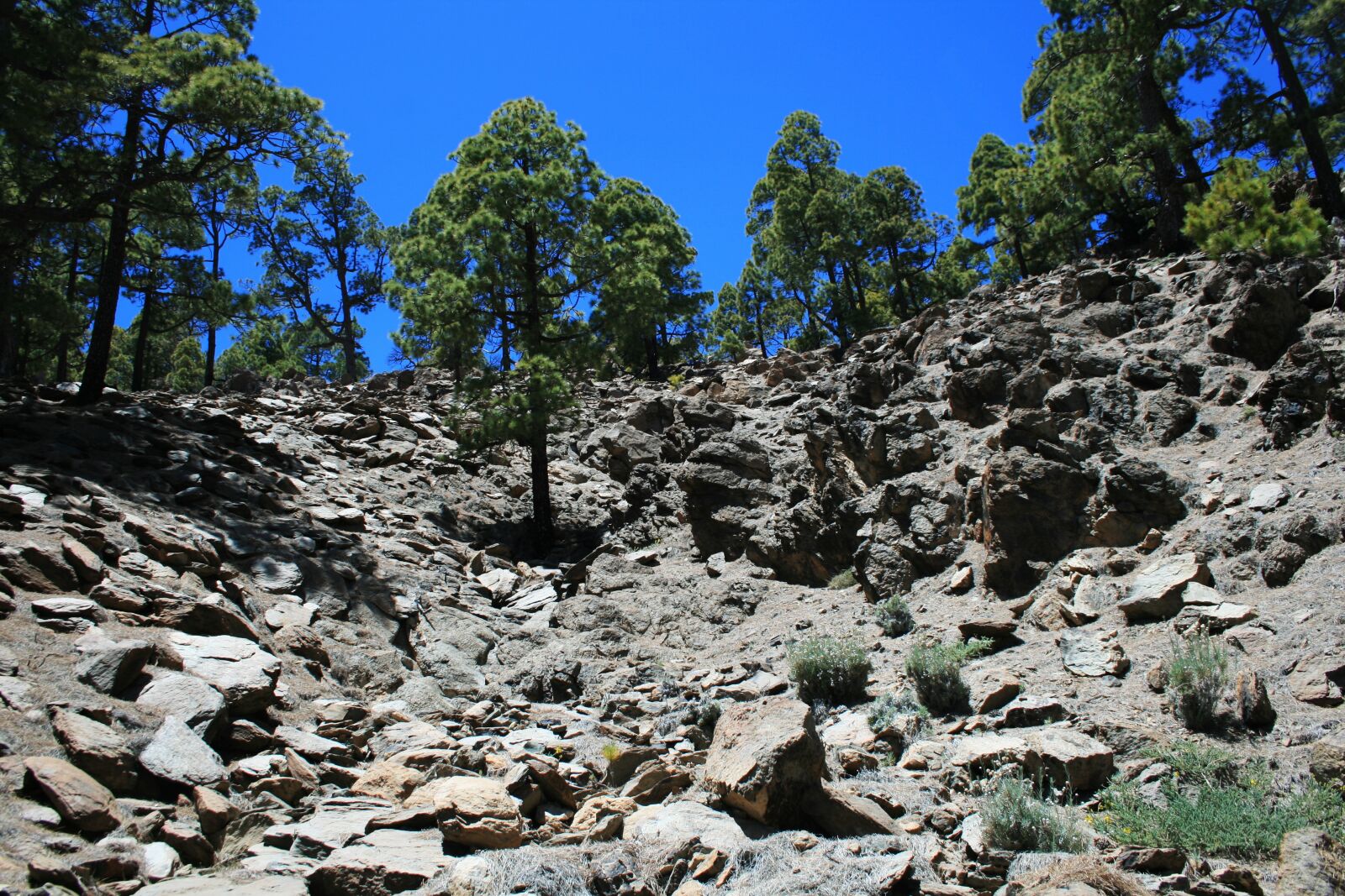 Canon EOS 400D (EOS Digital Rebel XTi / EOS Kiss Digital X) sample photo. Canary islands, teide national photography