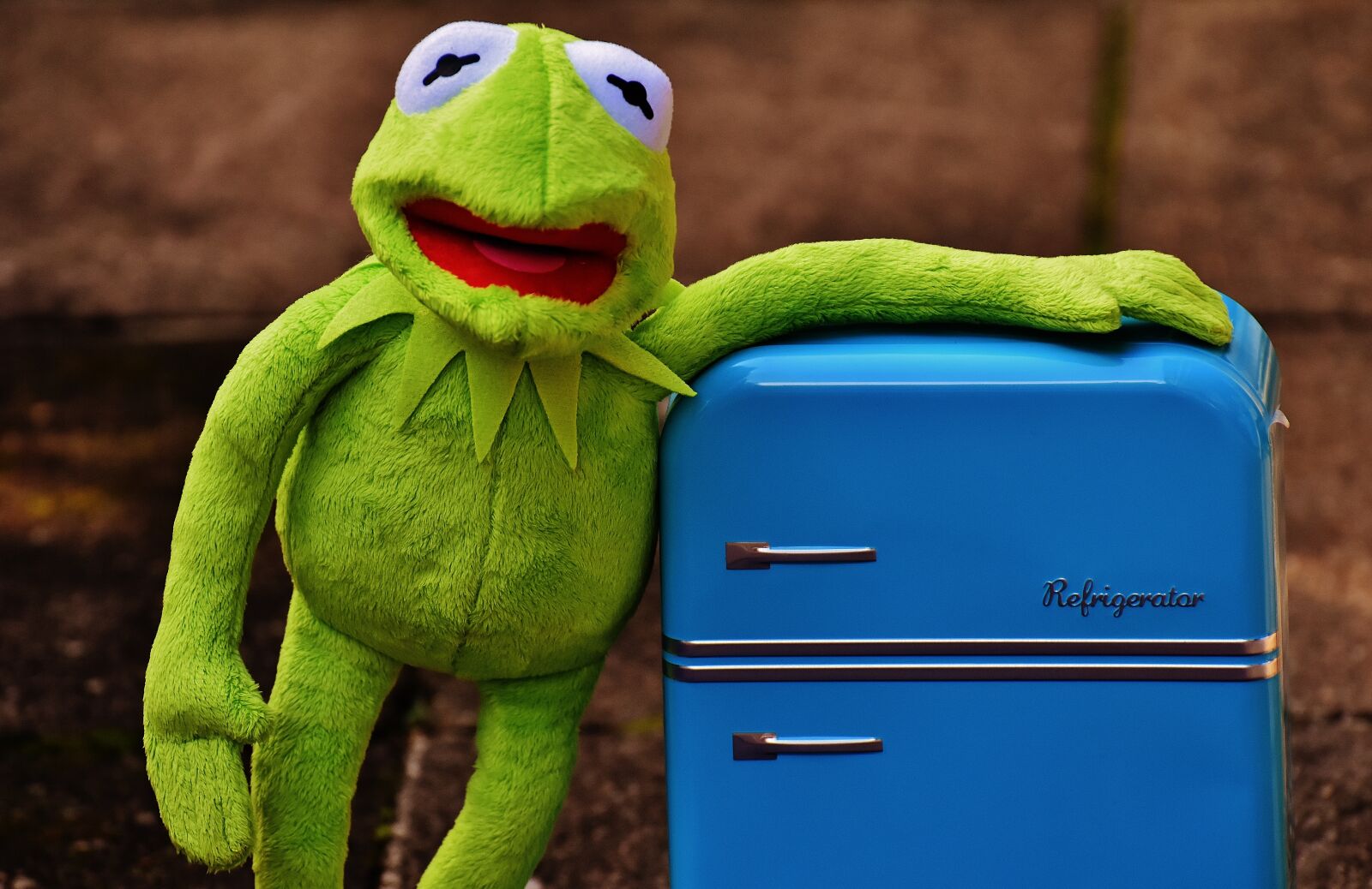 Nikon D7200 sample photo. Kermit, frog, refrigerator photography