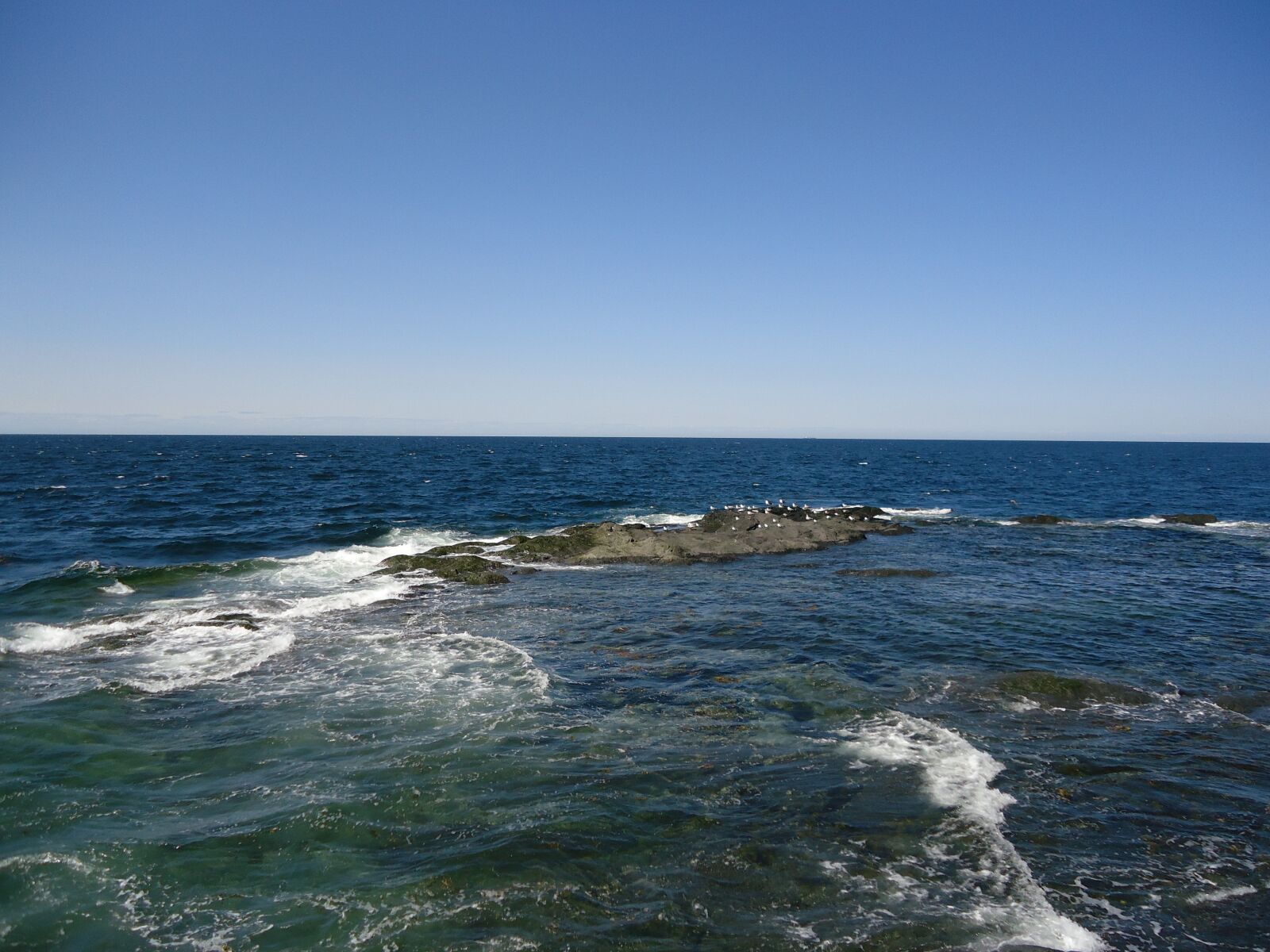 Sony Cyber-shot DSC-W610 sample photo. Gaspésie, water, roche photography