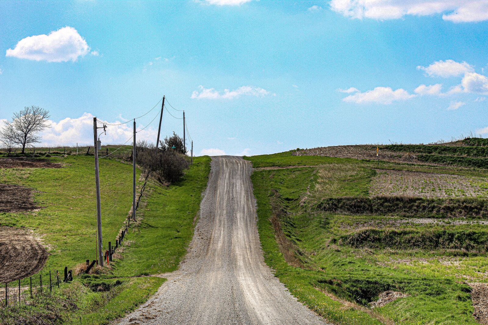 Canon EOS 4000D (EOS Rebel T100 / EOS 3000D) sample photo. Back road, country road photography