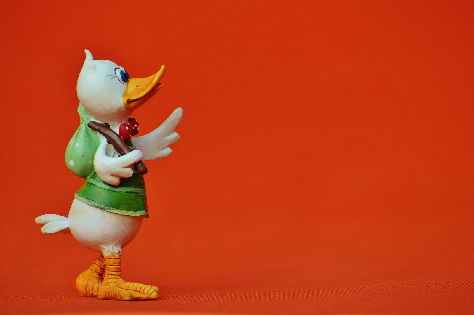 Nikon D3200 sample photo. Duck, funny, cute photography
