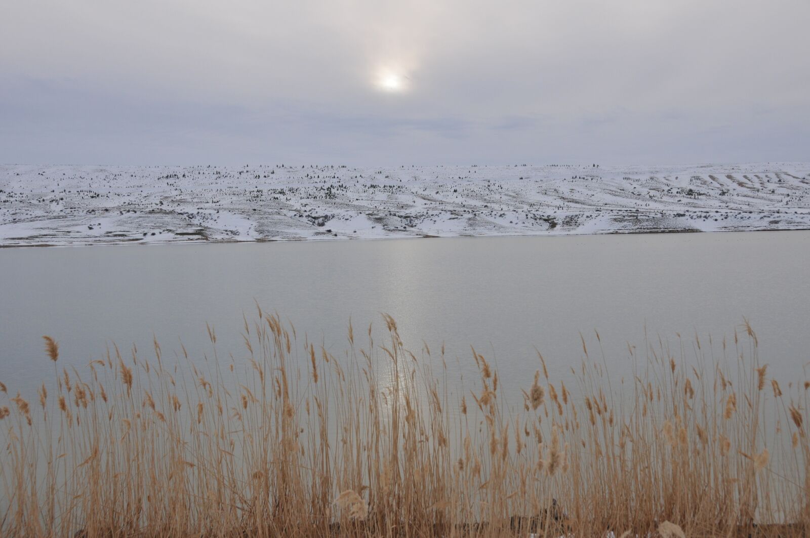 Nikon D300S sample photo. Nature, winter, lake photography