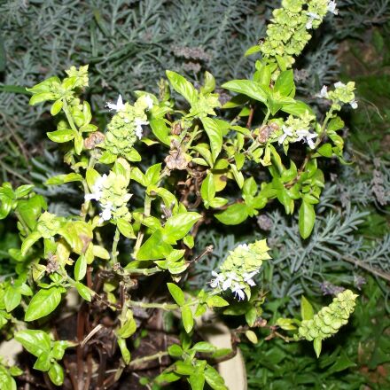 Kodak EASYSHARE ZD710 ZOOM DIGITAL CAMERA sample photos - ExploreCams