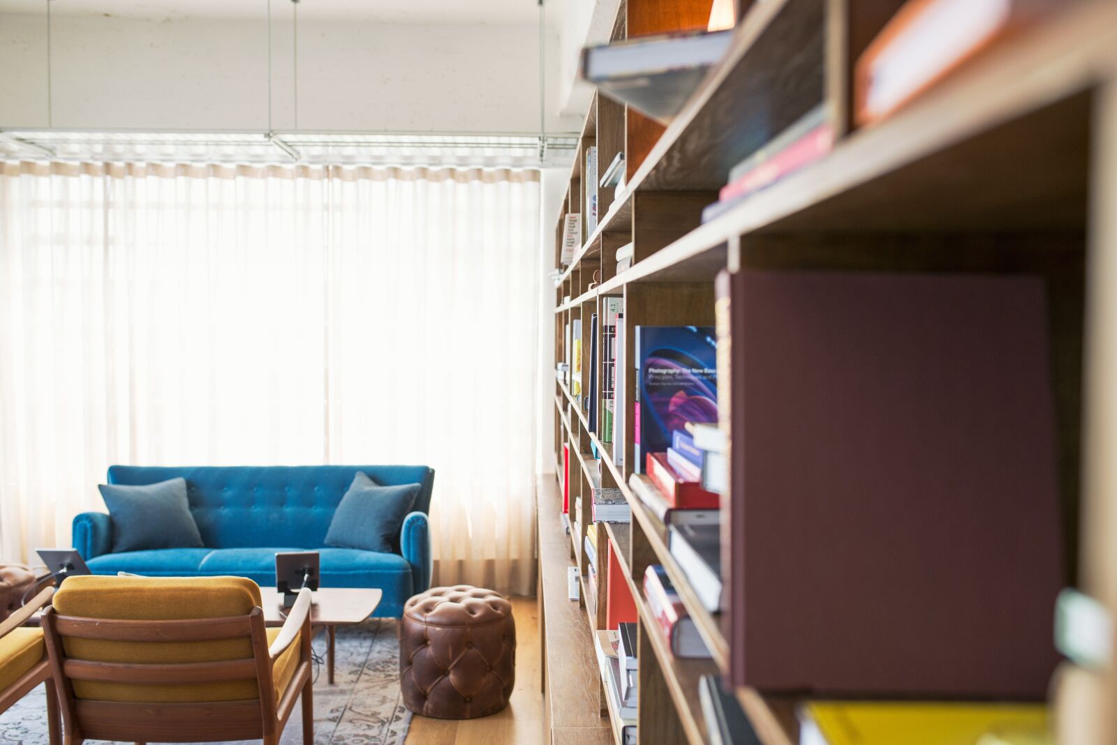 Nikon D610 sample photo. Blur, bookcase, books photography