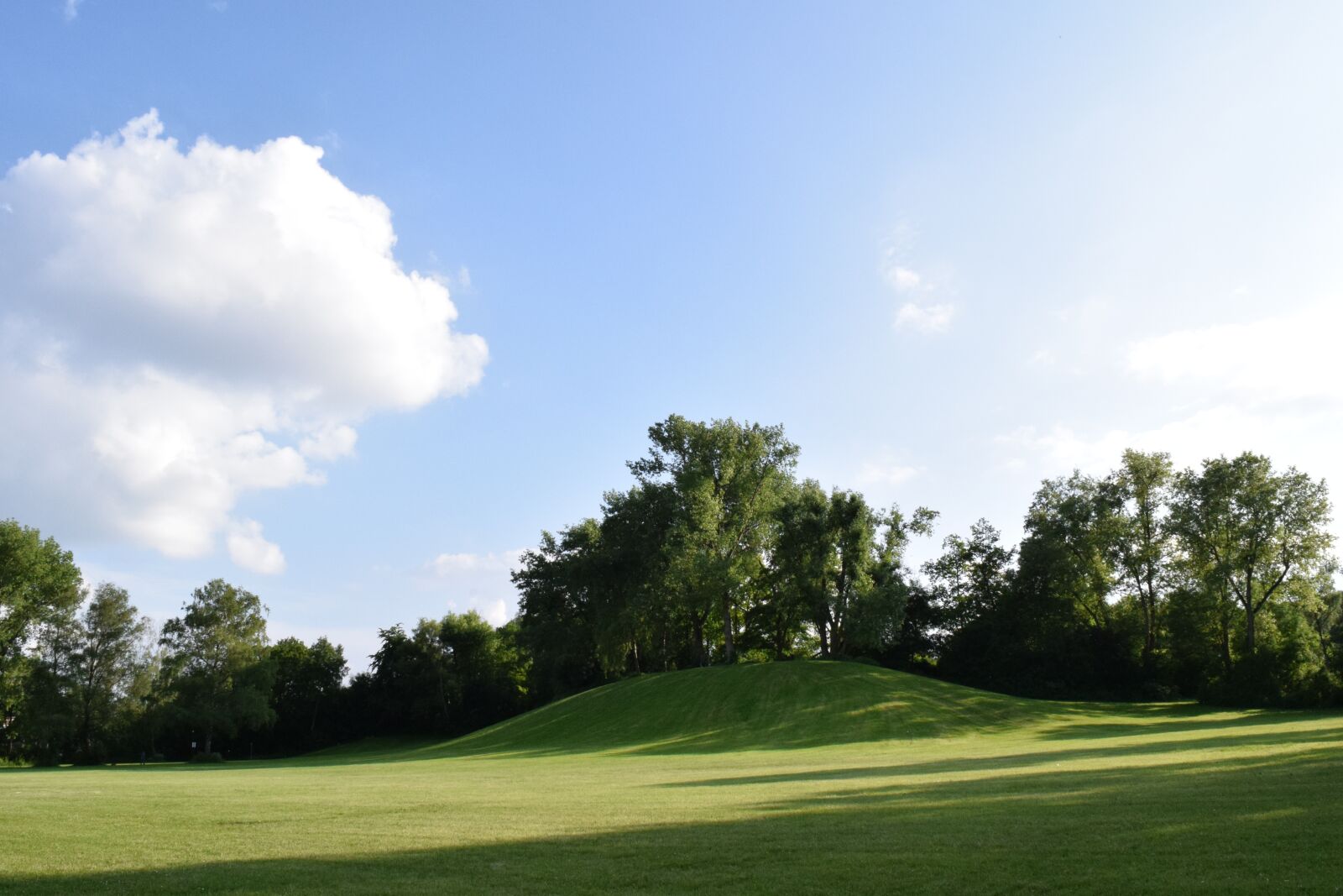 Nikon D3300 sample photo. Meadow, hill, green photography