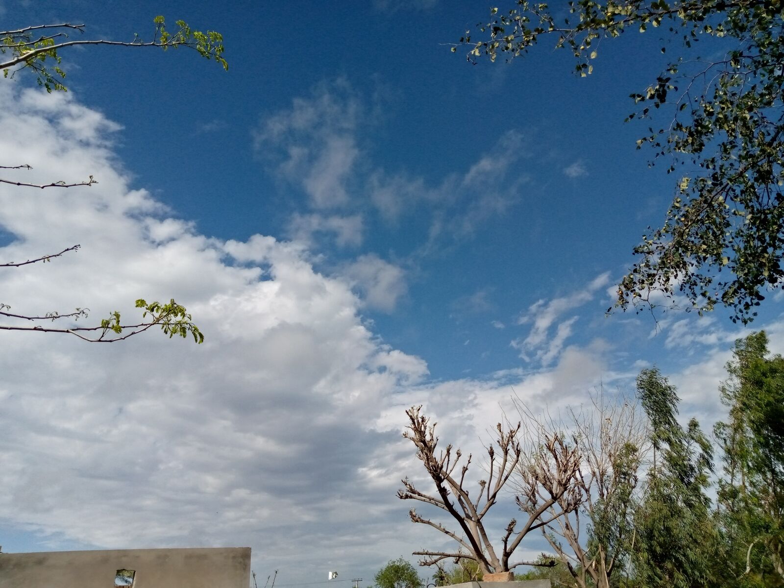 TECNO MOBILE LIMITED TECNO KC2 sample photo. Enjoy, weather, tody photography
