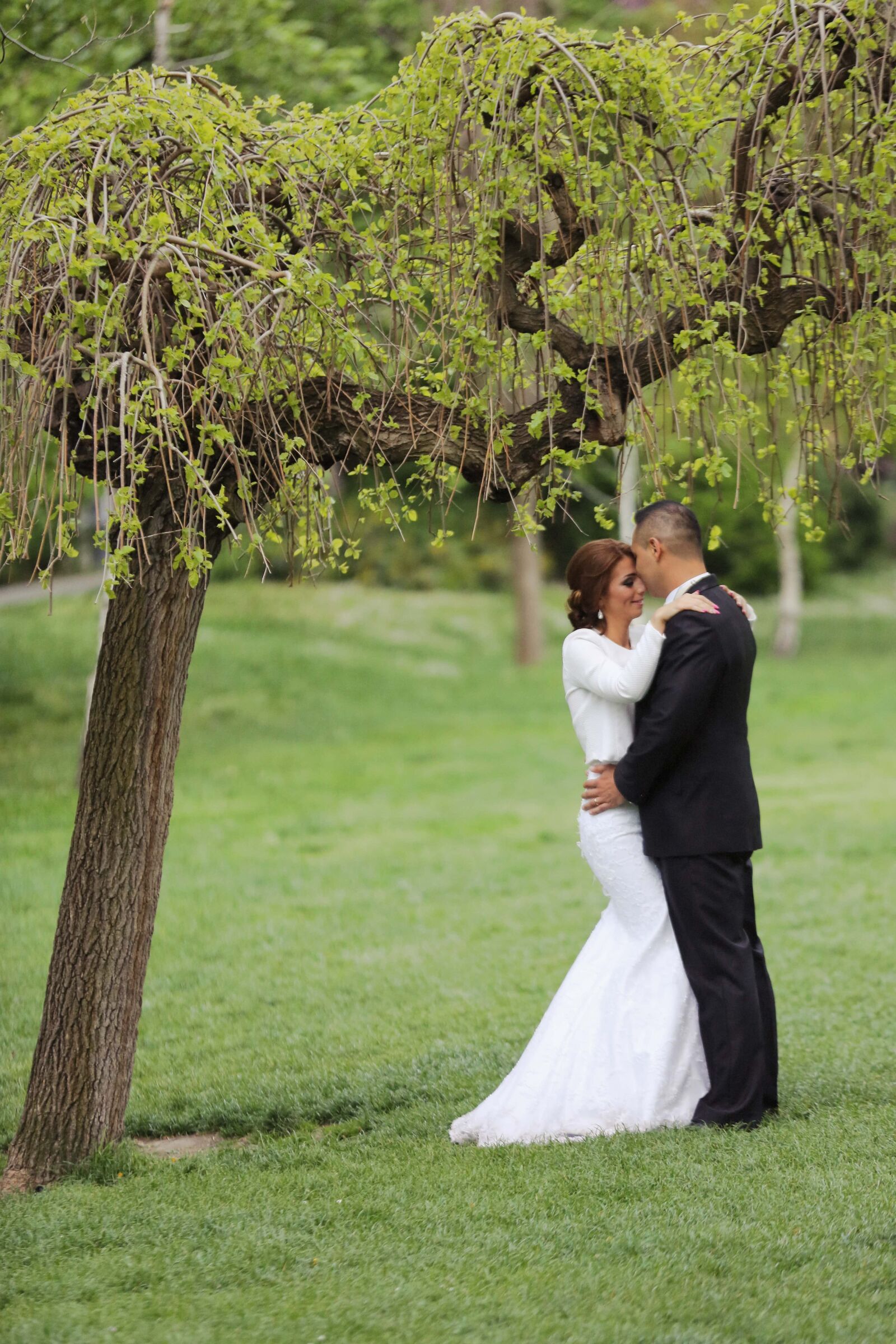 Canon EOS 5D Mark III sample photo. Groom, bride, tree, park photography