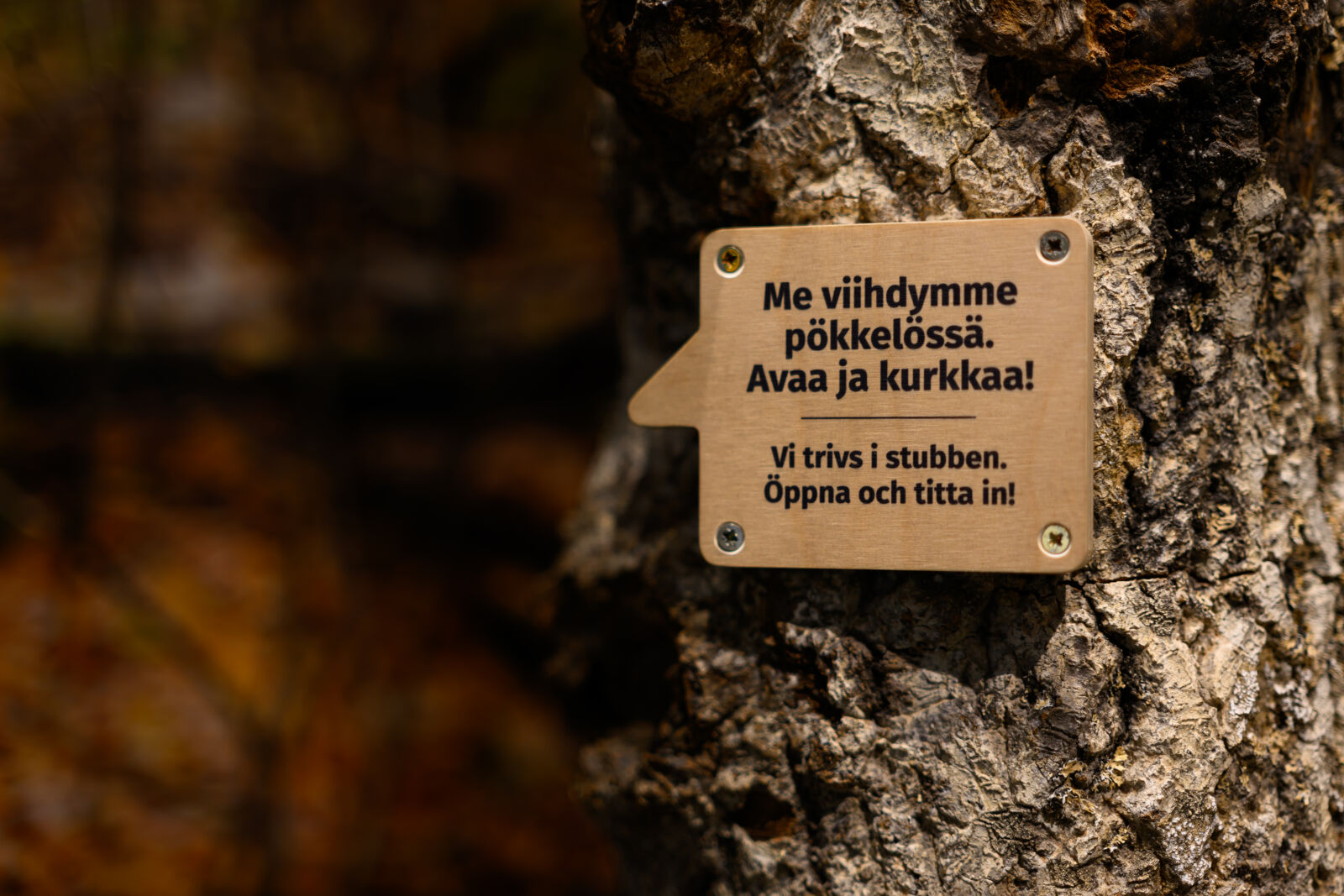 Nikon Z8 sample photo. Information sign photography