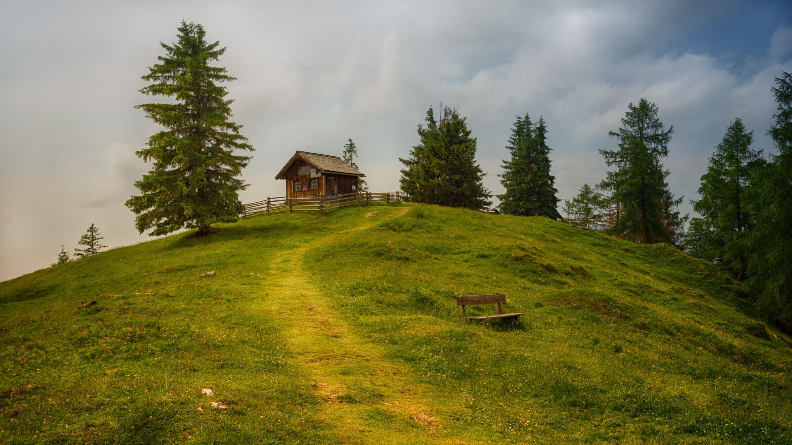 Sony a7 + Sony DT 50mm F1.8 SAM sample photo. Tree, grass, landscape photography