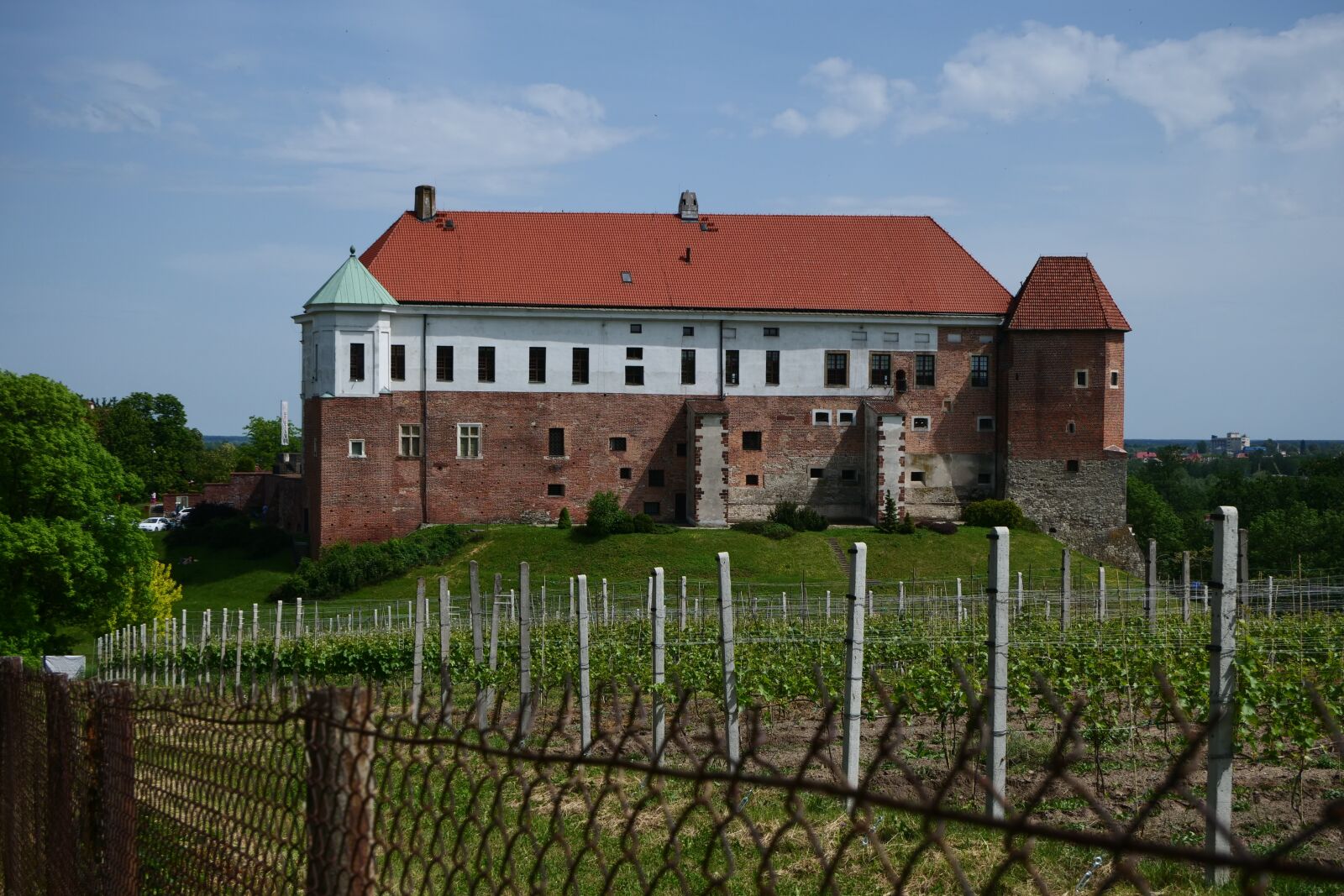 Panasonic Lumix DC-G9 sample photo. Sanok, castle, vineyard photography