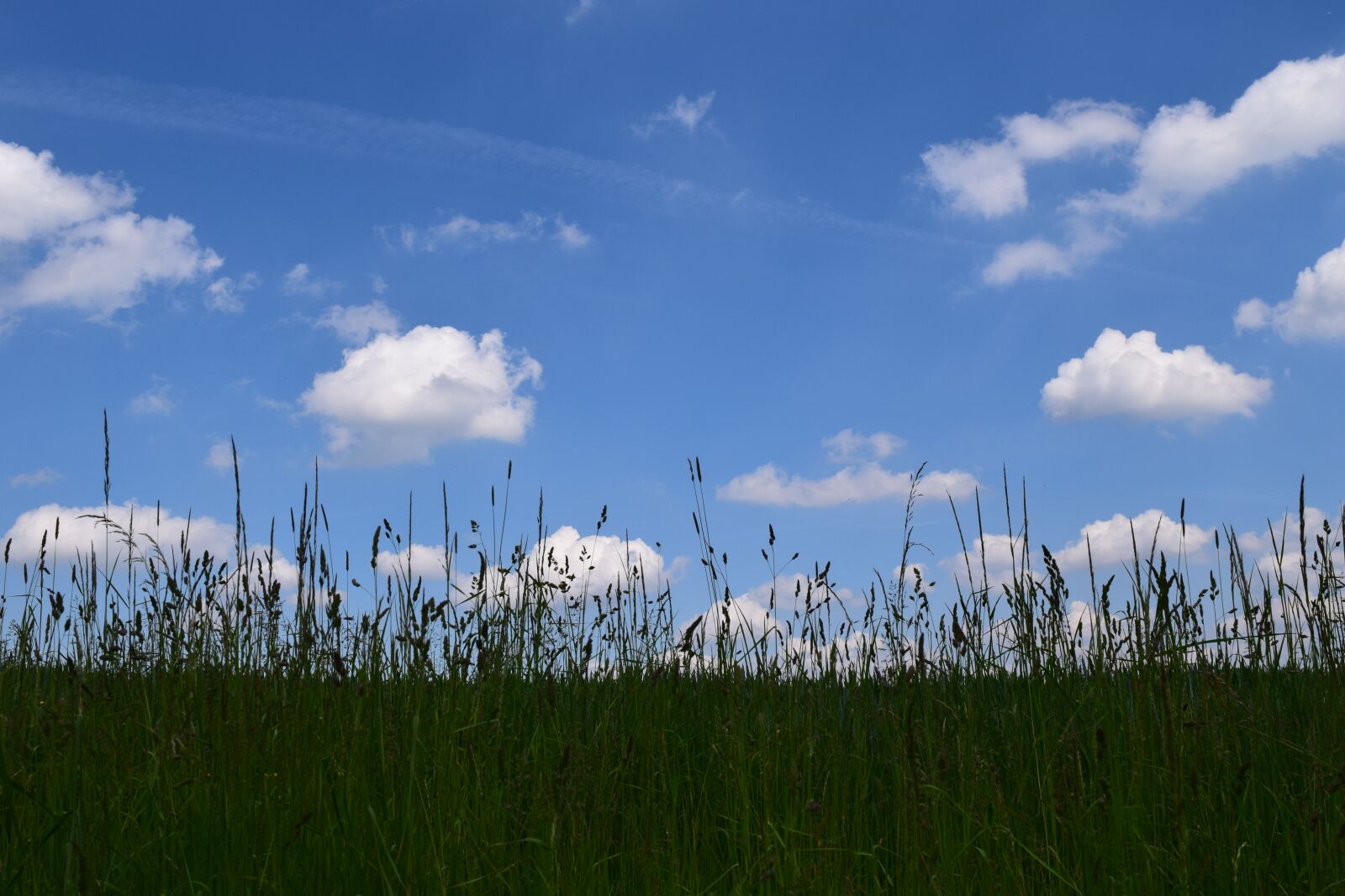 Nikon D3300 sample photo. Background, horizon, sky photography