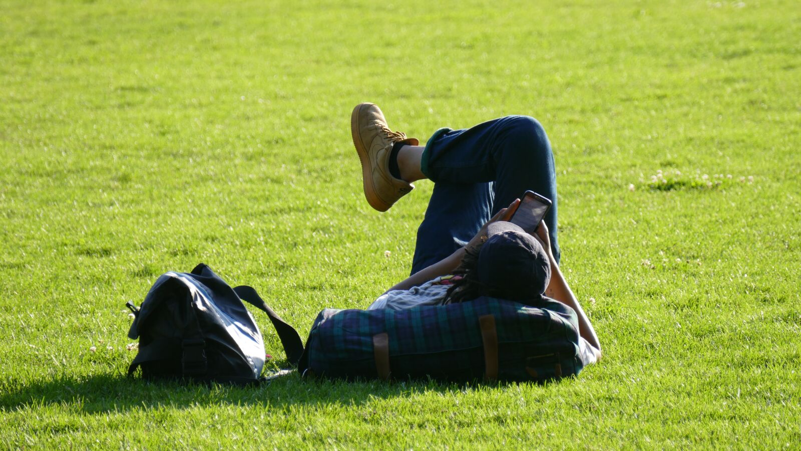 Panasonic Lumix DMC-FZ1000 sample photo. Relaxing, park, summer photography