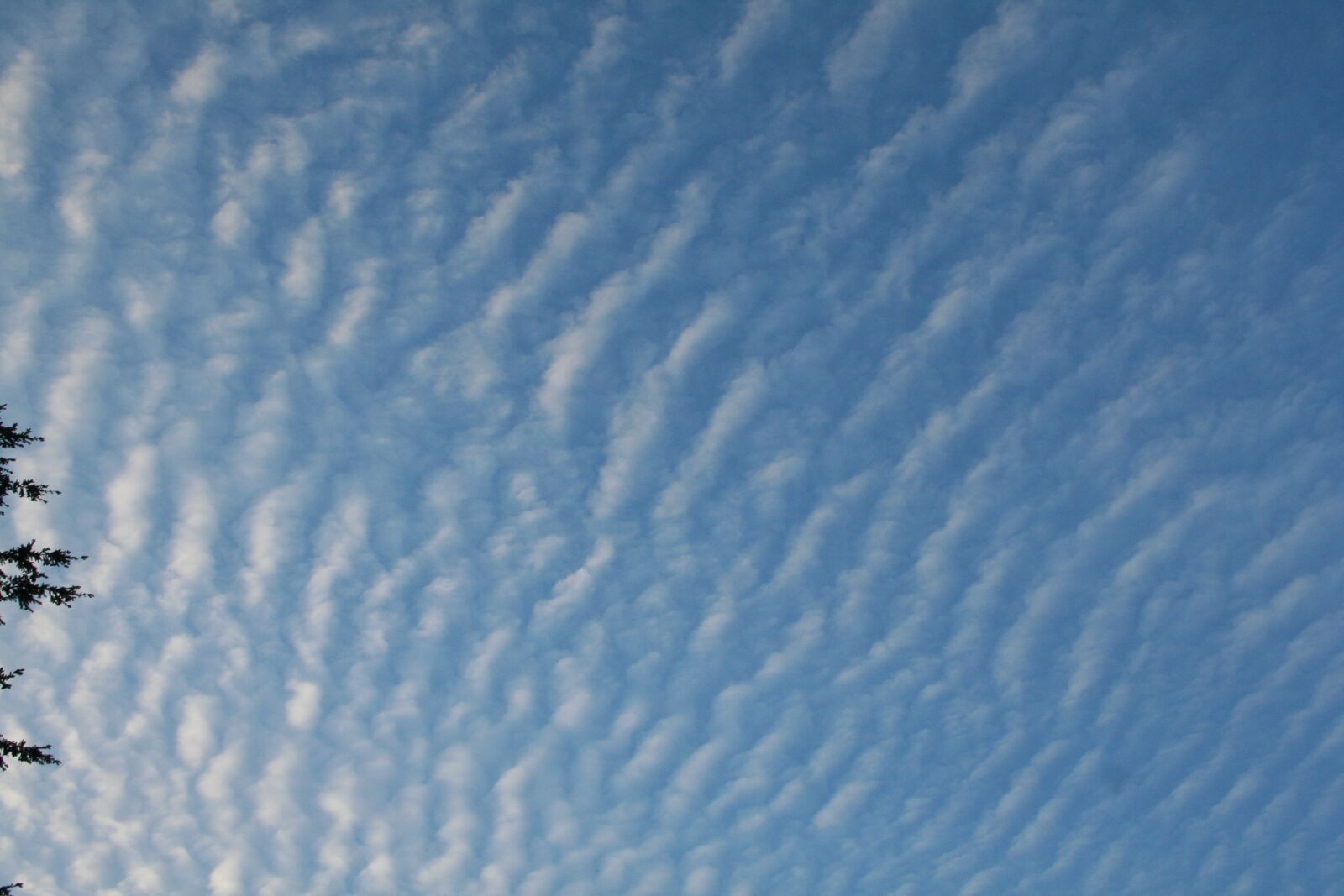 Canon EOS 350D (EOS Digital Rebel XT / EOS Kiss Digital N) sample photo. Clouds, sky, weather photography