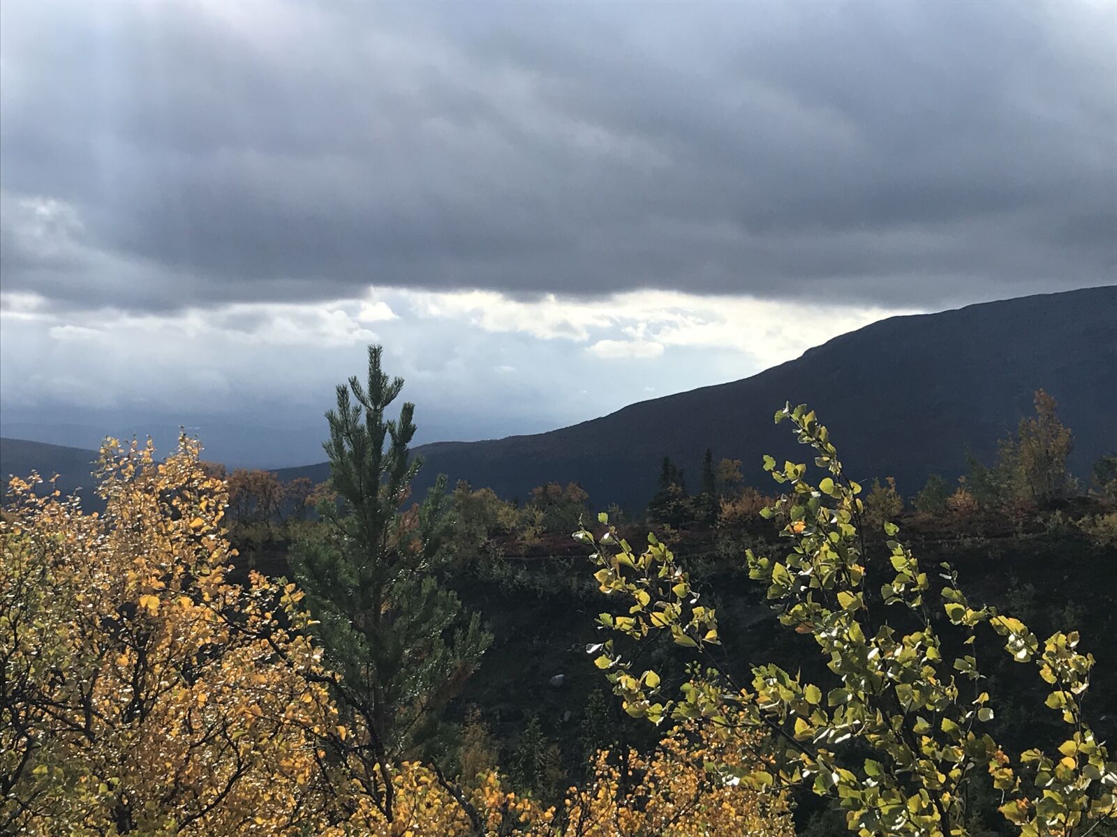 iPhone 7 back camera 3.99mm f/1.8 sample photo. Autumn, mountain, landscapes photography
