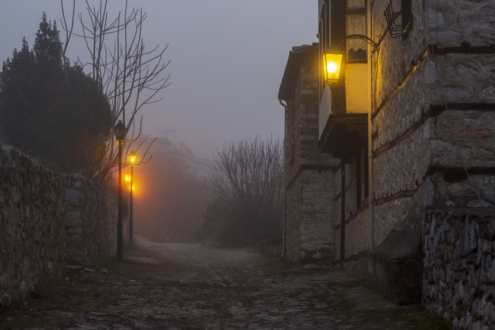 Nikon D7200 sample photo. Fog, mist, magic photography