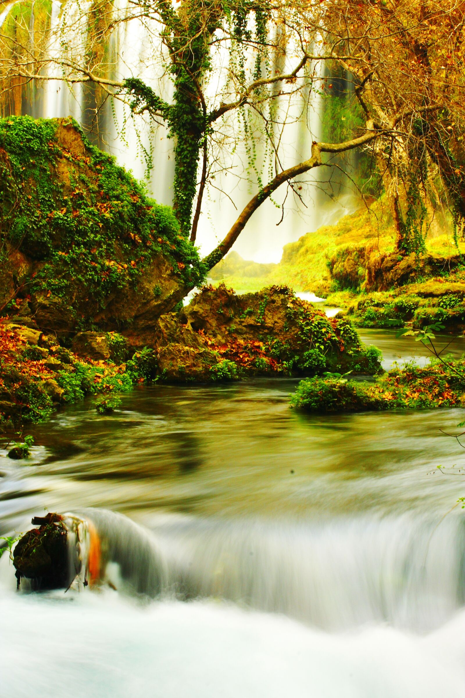 Canon EOS 40D sample photo. Nature, long exposure, green photography