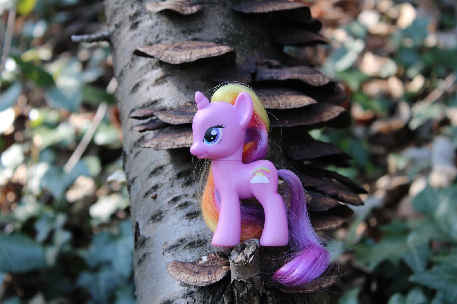Canon EOS 2000D (EOS Rebel T7 / EOS Kiss X90 / EOS 1500D) sample photo. Toys, pony, my little photography