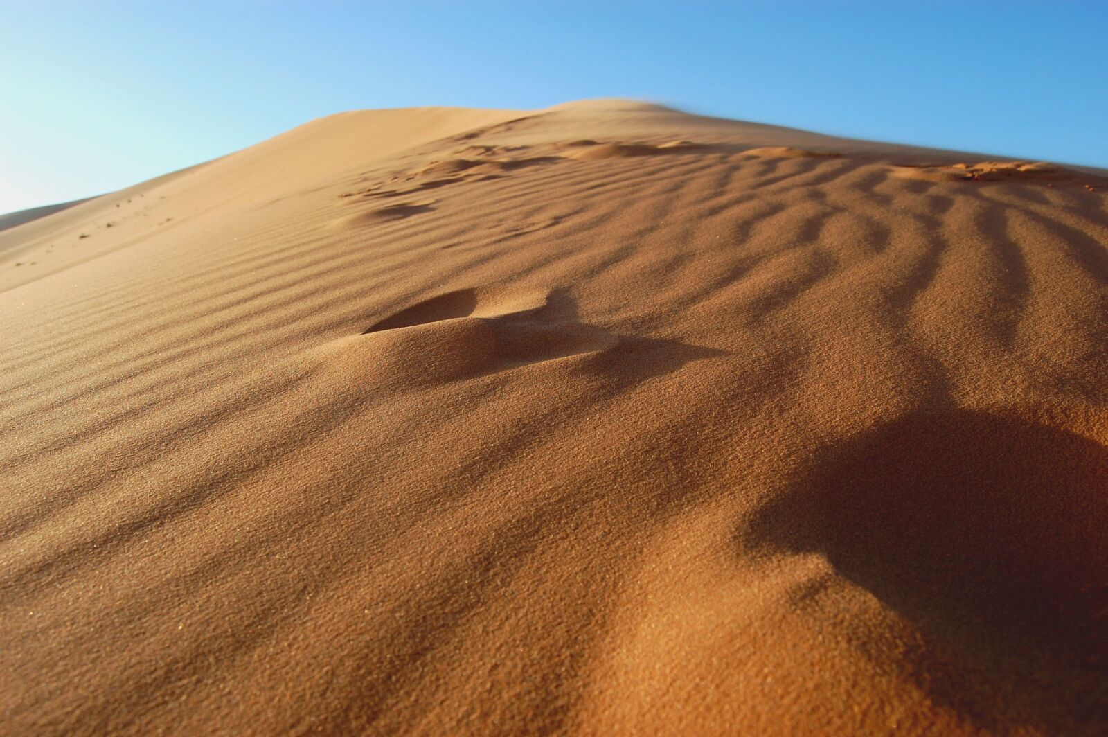 Nikon D40 sample photo. Sand, desert, the background photography