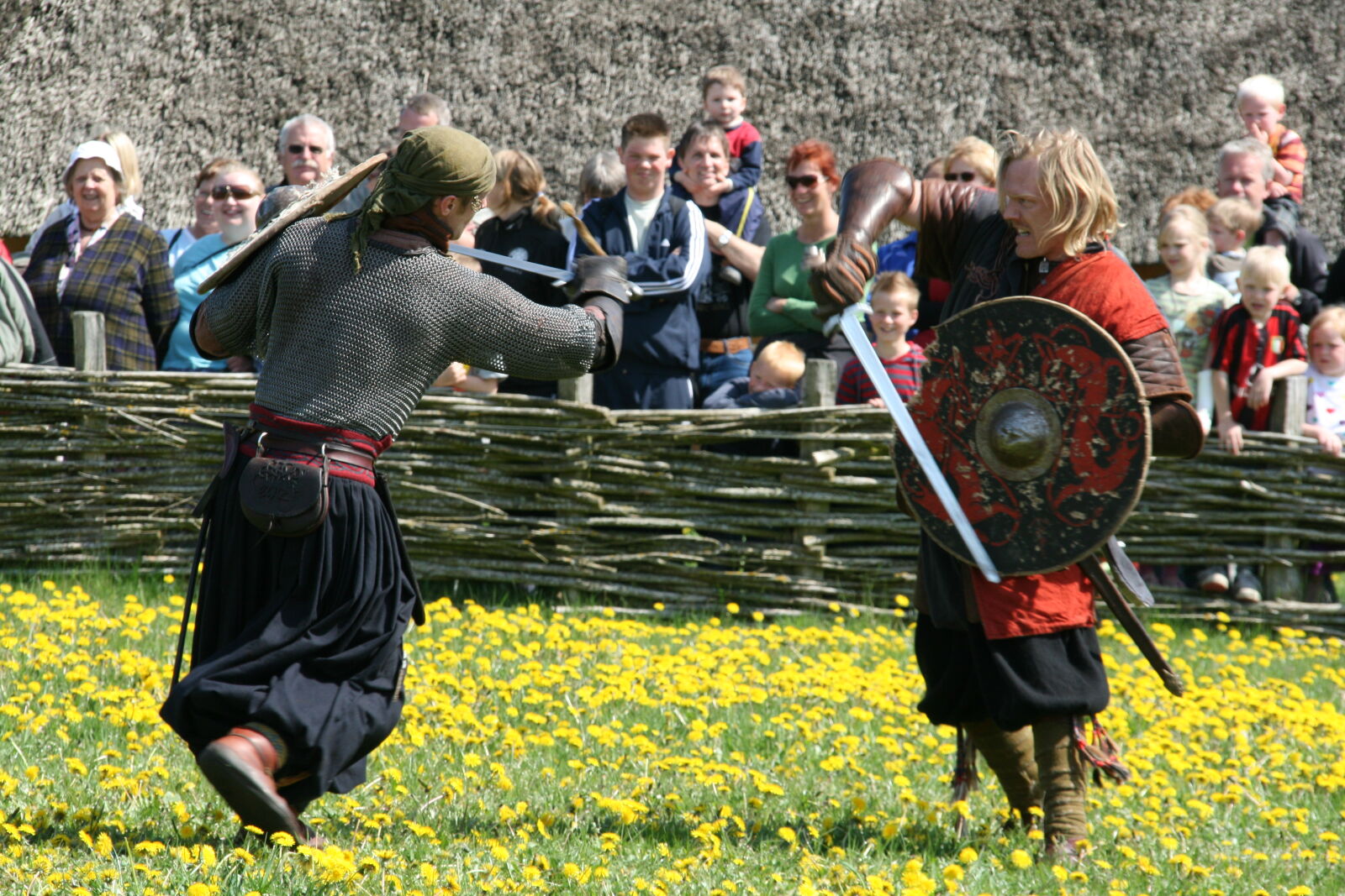 Sigma 18-200mm f/3.5-6.3 DC OS sample photo. Vikings photography
