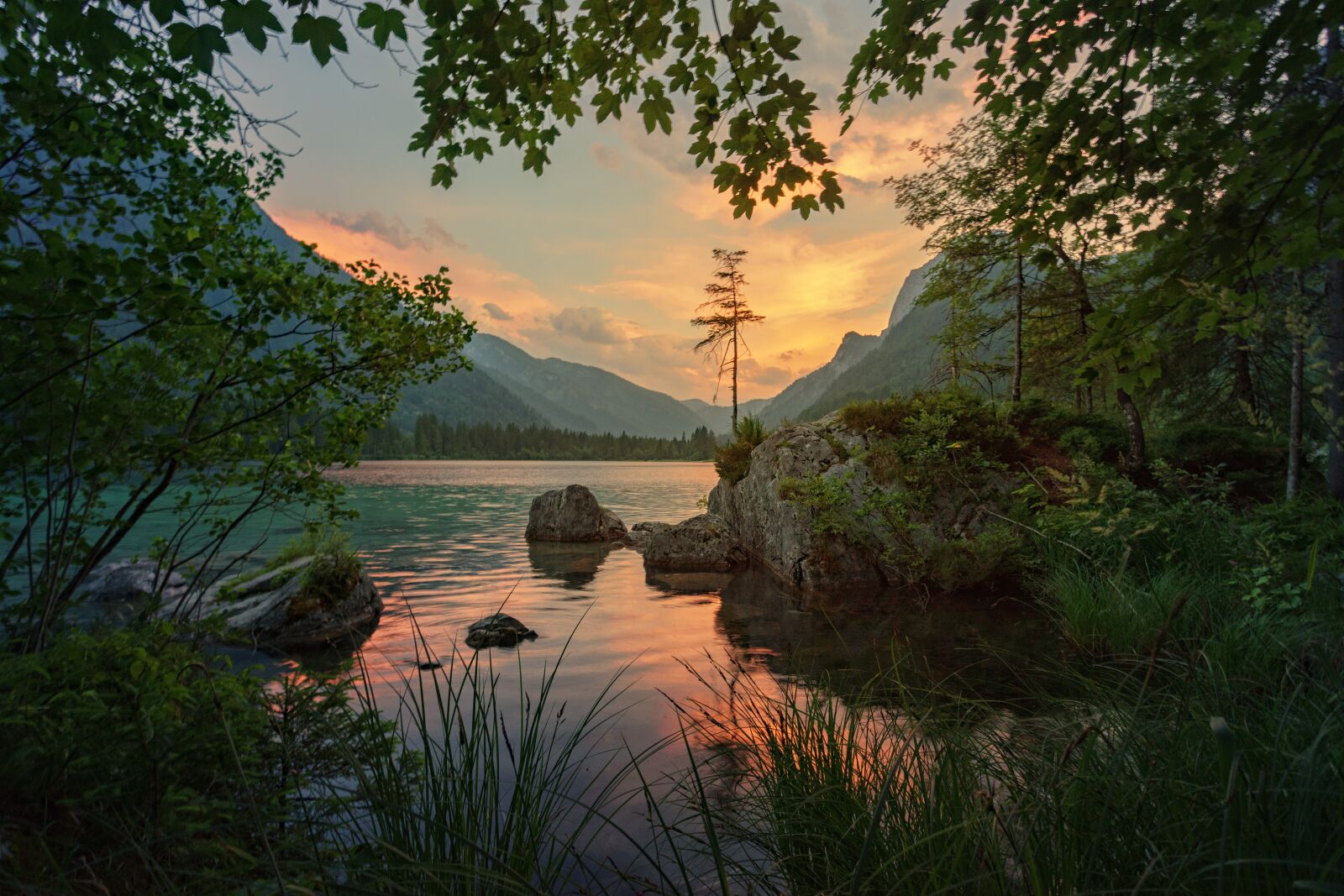 Sony a7 + Sony DT 50mm F1.8 SAM sample photo. Nature, waters, tree photography