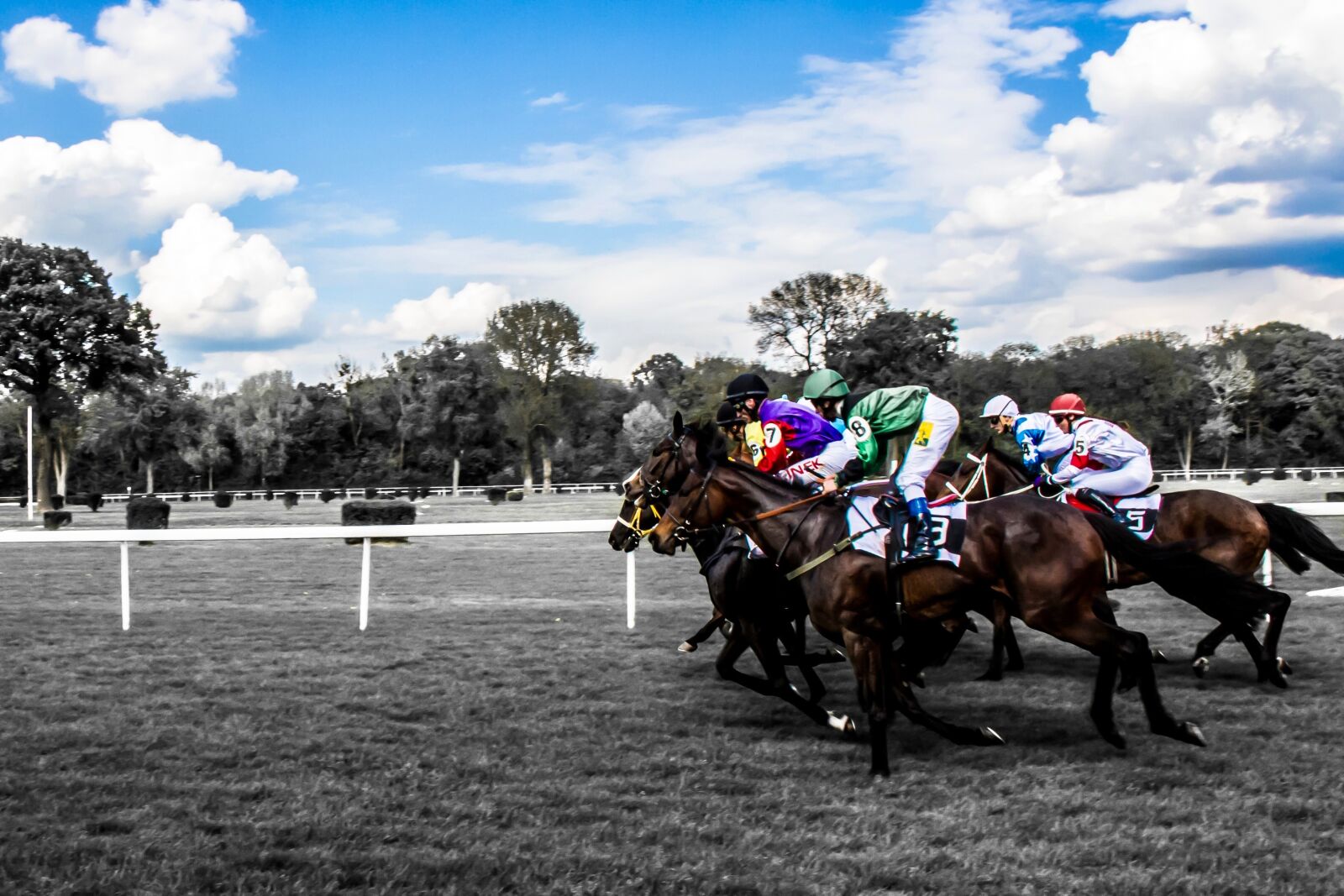 Canon EOS 700D (EOS Rebel T5i / EOS Kiss X7i) sample photo. Horses, race, jockey photography