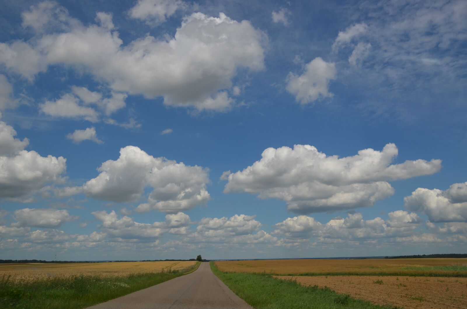 Nikon D5100 sample photo. Clouds, blue, sky photography