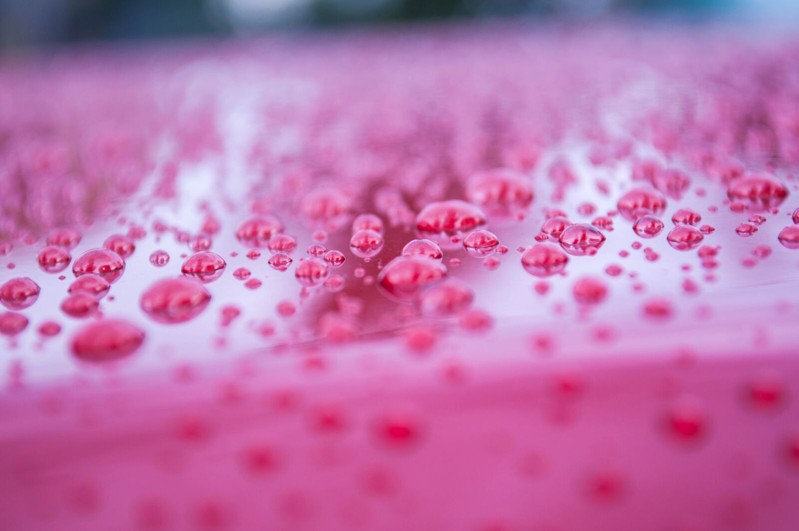 Nikon D90 sample photo. Raindrops, drop, rain photography