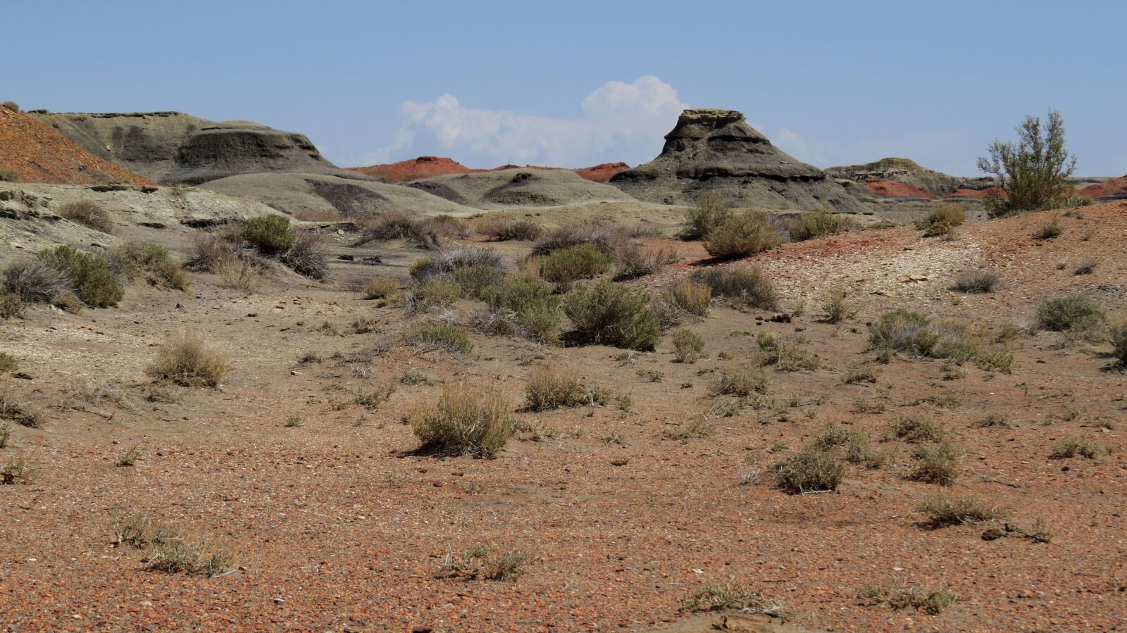 Canon PowerShot SX50 HS sample photo. Bisti, badlands, new photography
