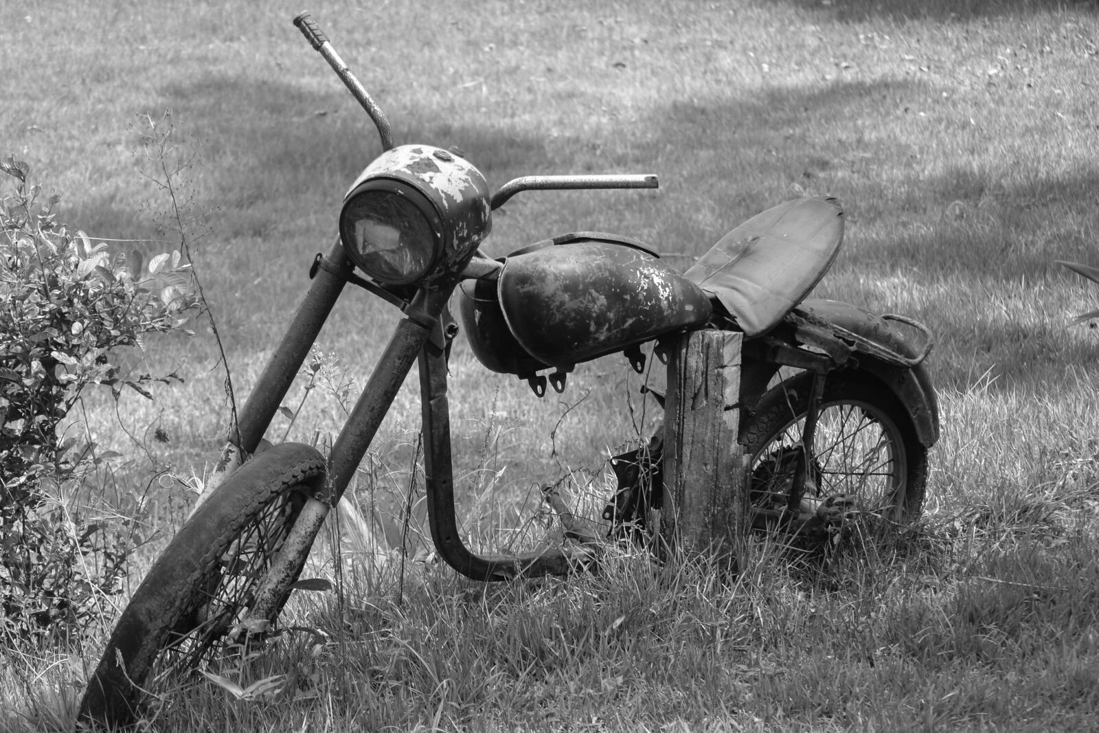 Nikon D3100 sample photo. Old bike, bike, antique photography