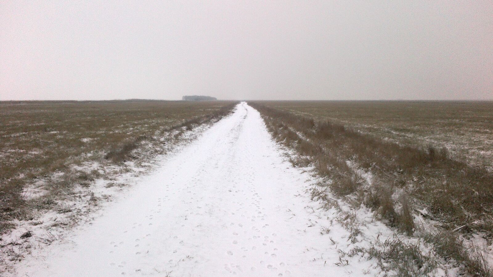Nokia 500 sample photo. Road, frost, cold photography