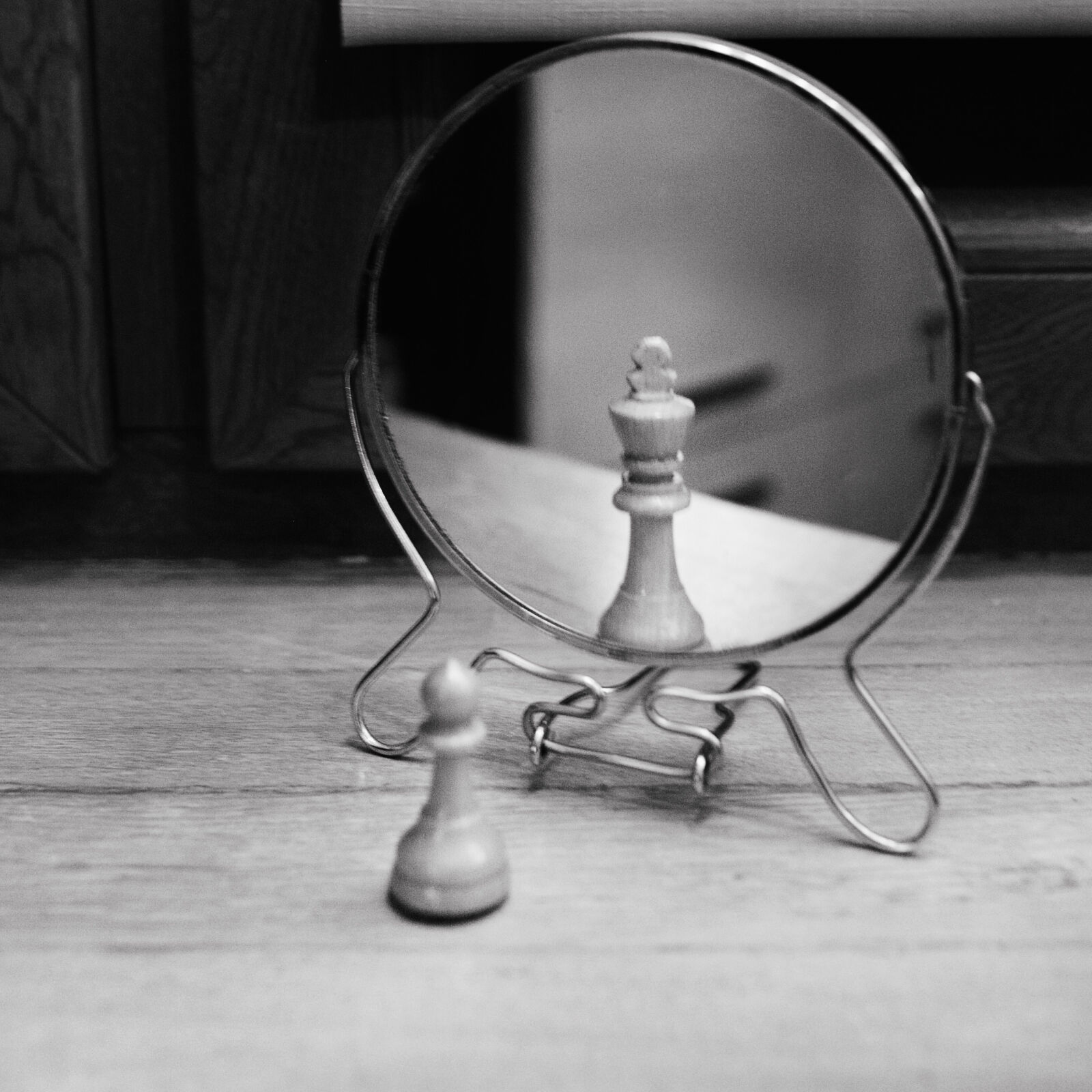 Nikon D610 sample photo. Grayscale, photo, of, reversible photography