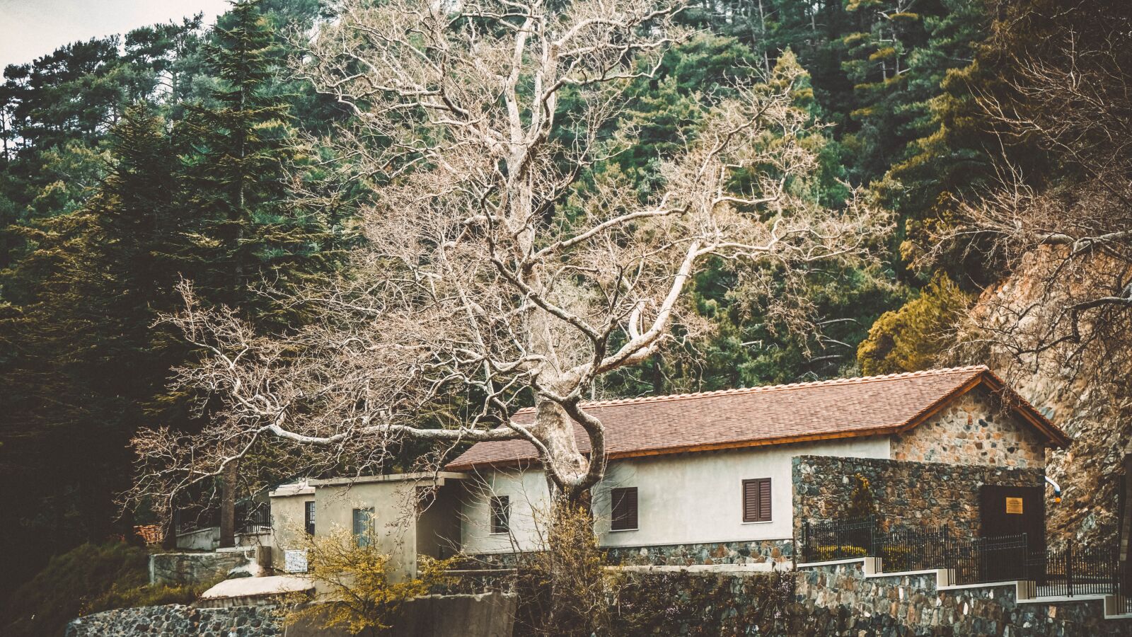 Sony a6000 sample photo. Cyprus, house, tree photography