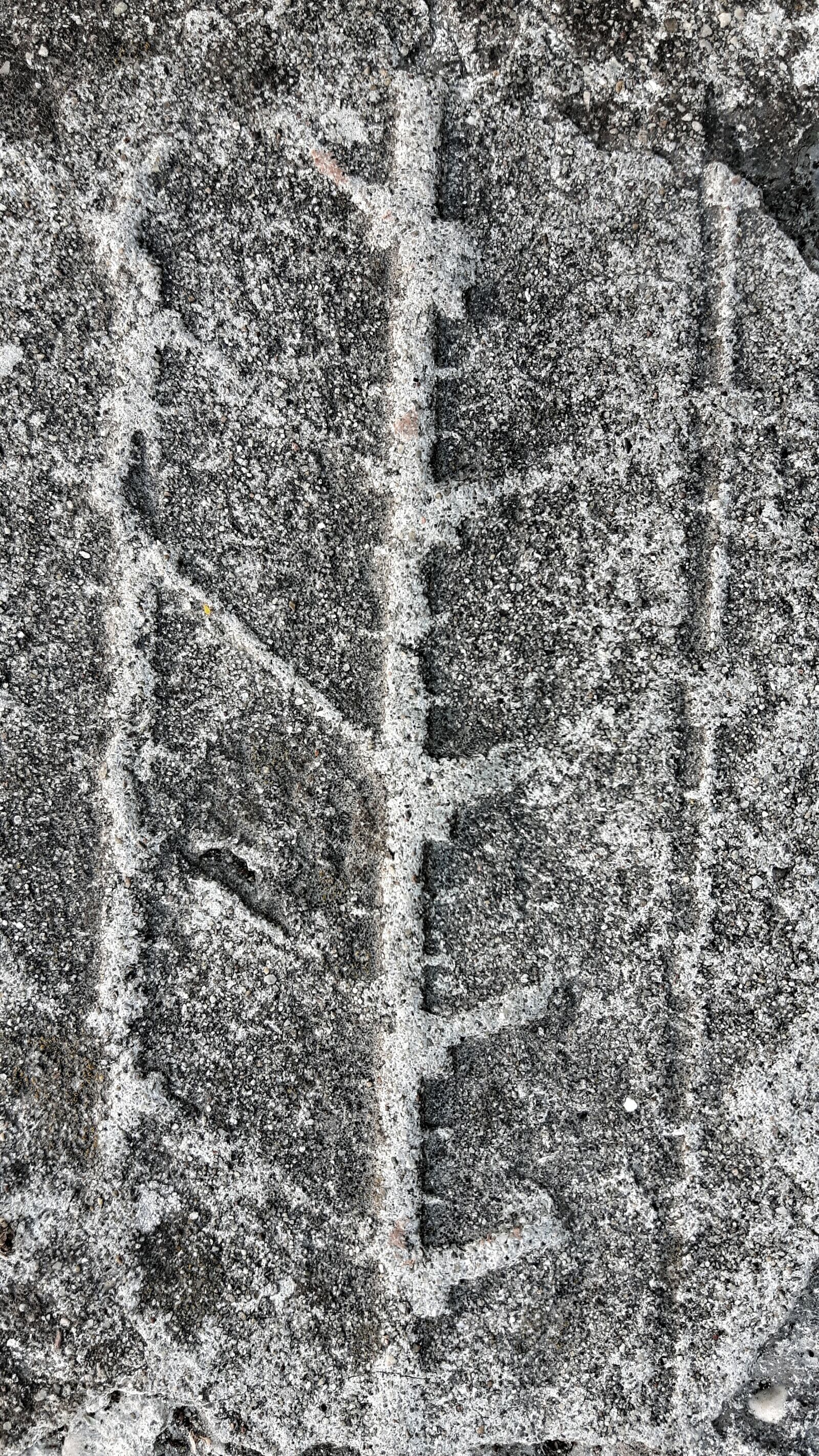 Samsung Galaxy S5 Neo sample photo. Asphalt, texture, cement photography