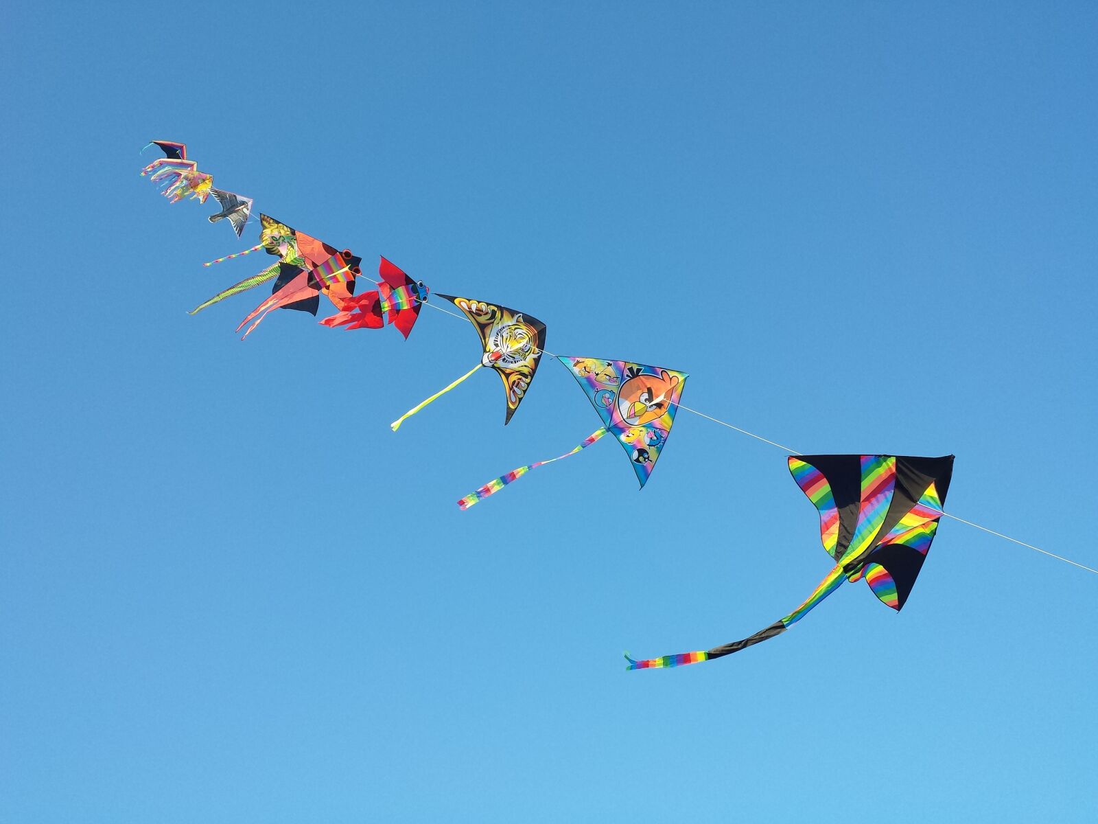 Samsung Galaxy S4 sample photo. Sky, kites, freedom photography