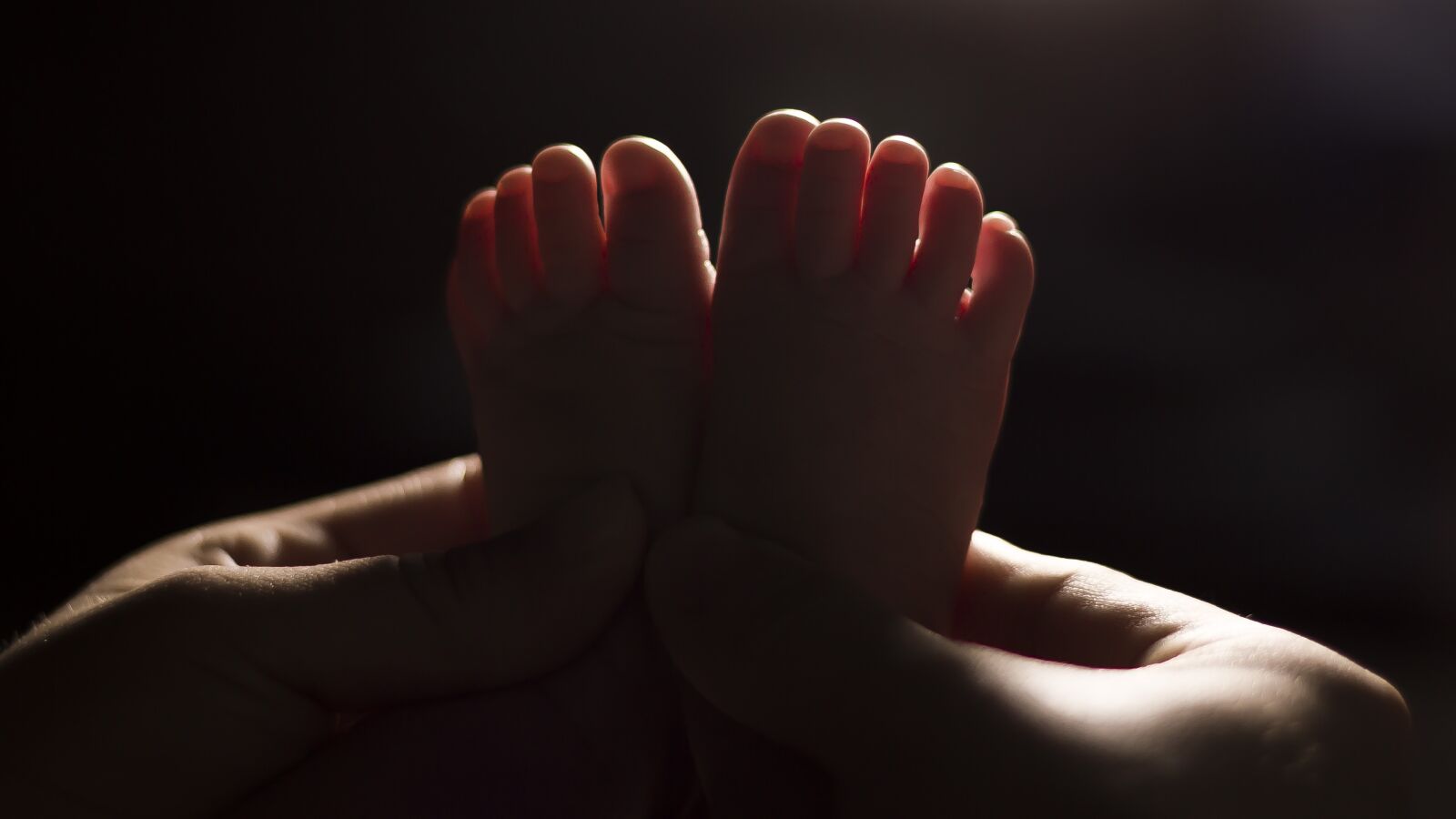 Canon EOS 550D (EOS Rebel T2i / EOS Kiss X4) + Canon EF 50mm F1.8 II sample photo. Baby, feet, backlighting photography