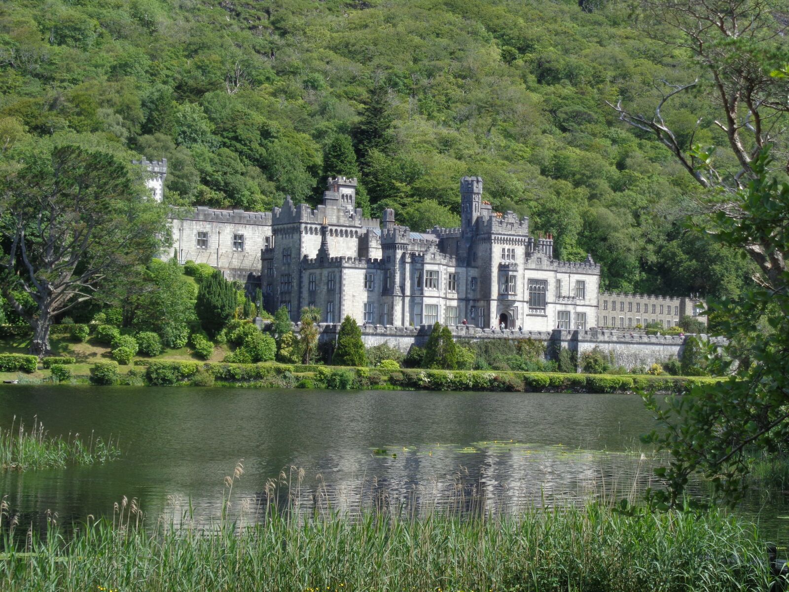 Sony Cyber-shot DSC-W830 sample photo. Castle, ireland, land photography