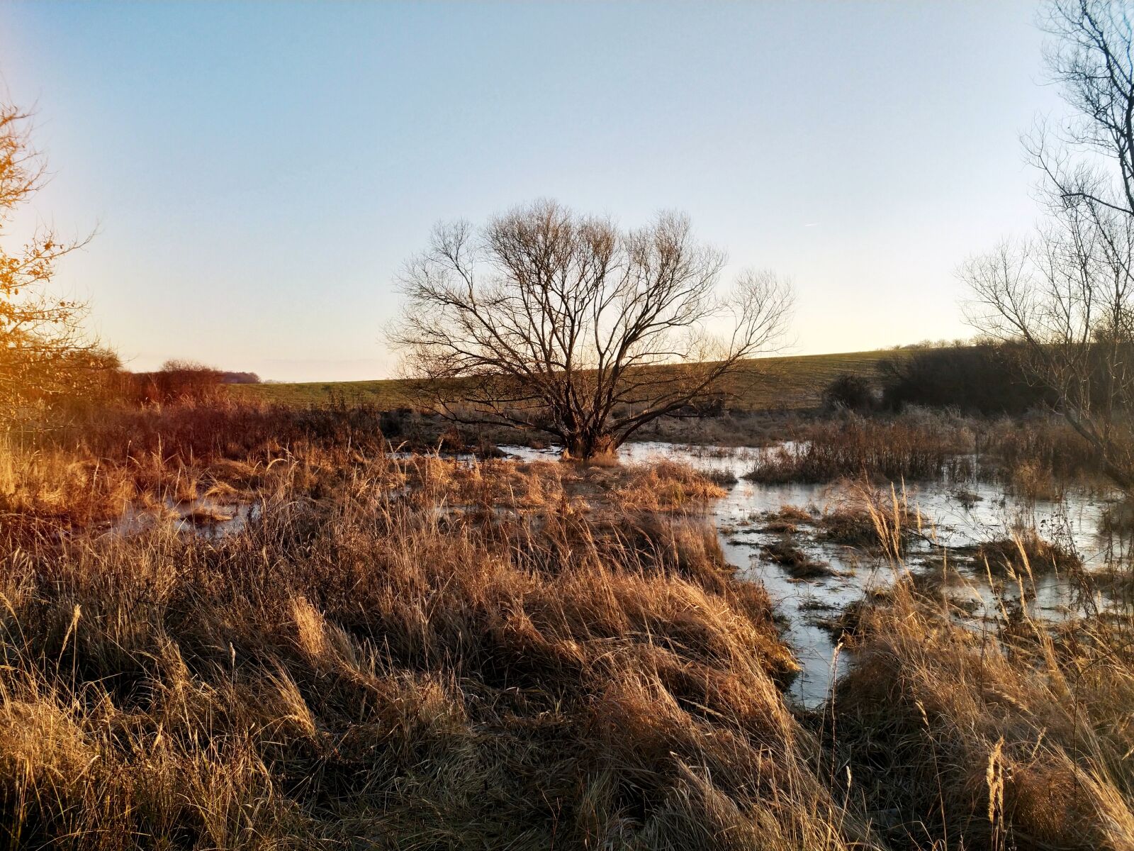HMD Global Nokia 8 sample photo. Swamp, bog, sunset photography