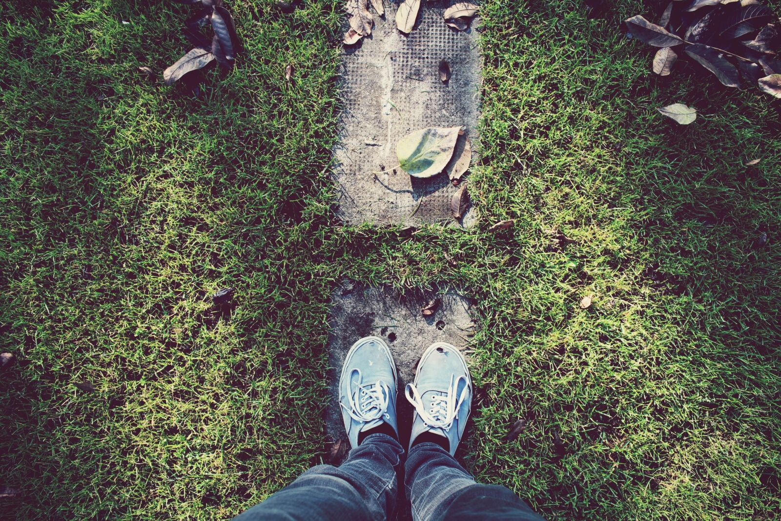Canon EOS 650D (EOS Rebel T4i / EOS Kiss X6i) sample photo. Footwear, grass, leaves photography