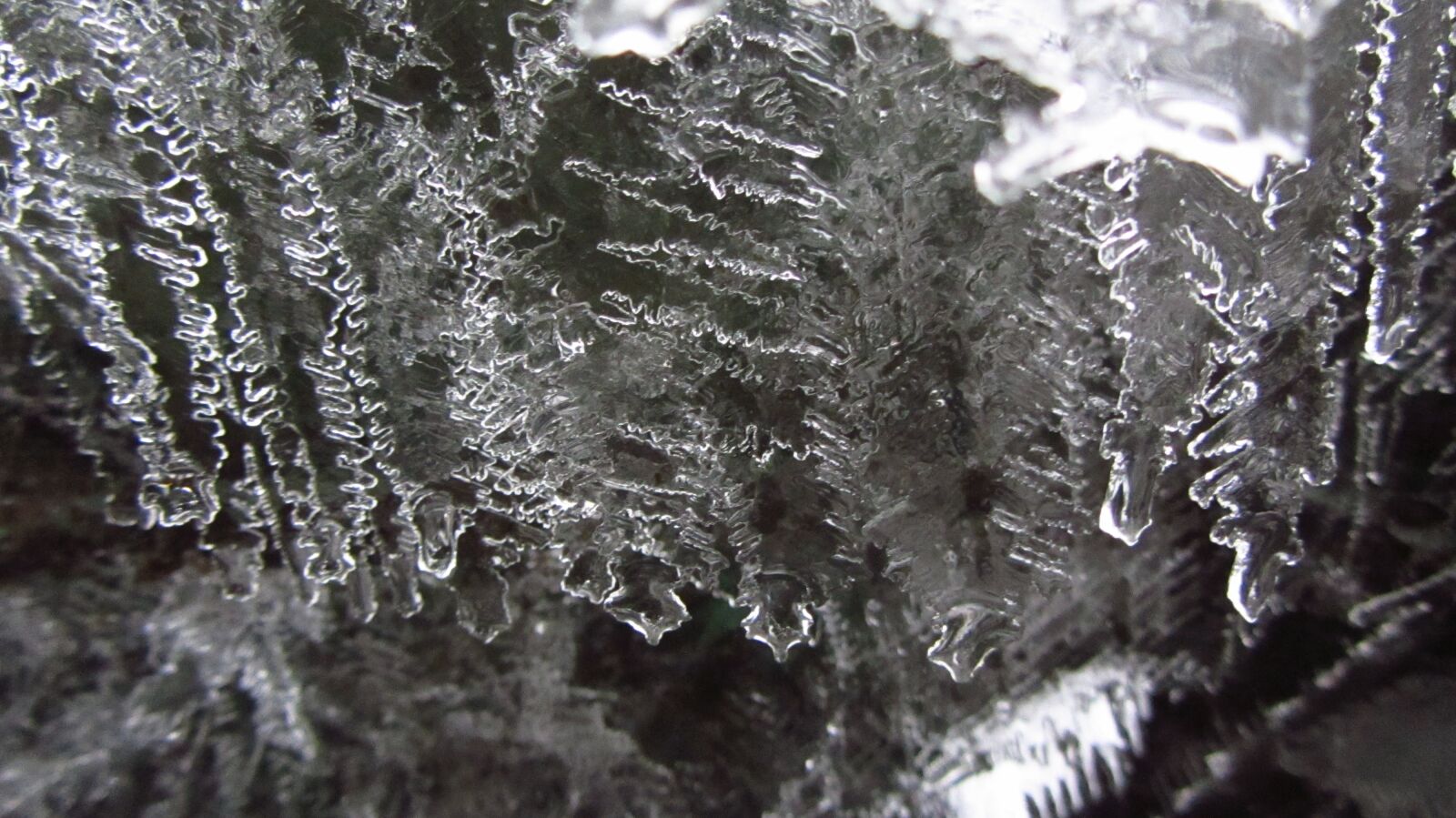 Canon PowerShot SX220 HS sample photo. Nature, ice, crystal photography