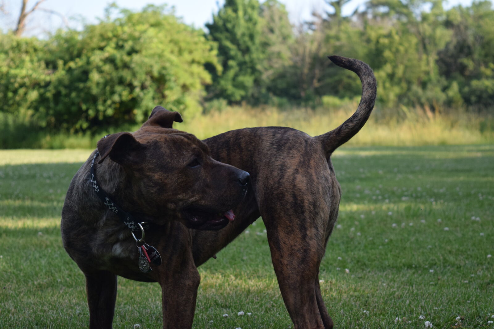 Nikon D3300 sample photo