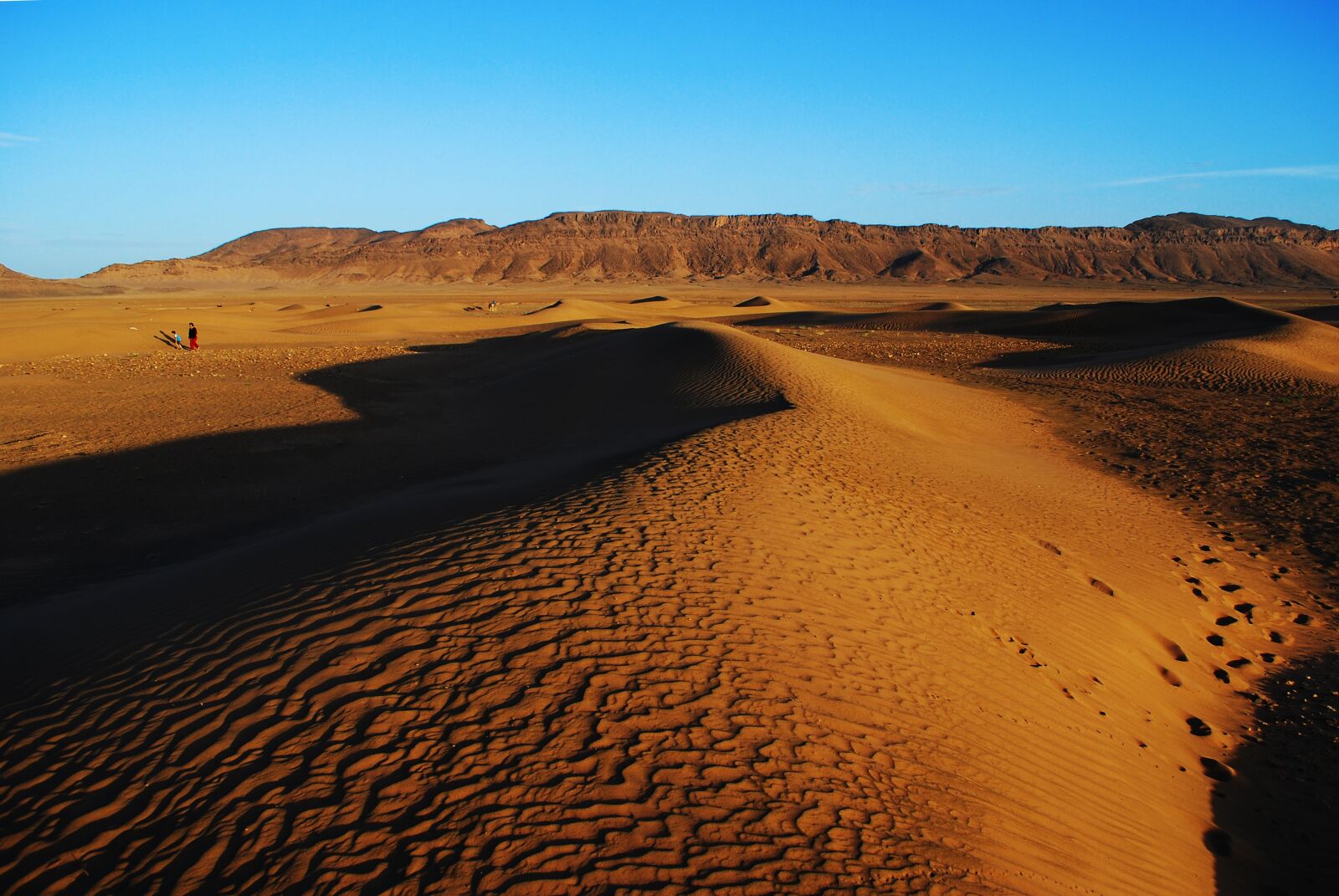 Nikon D60 sample photo. Zagora, desert, morocco photography