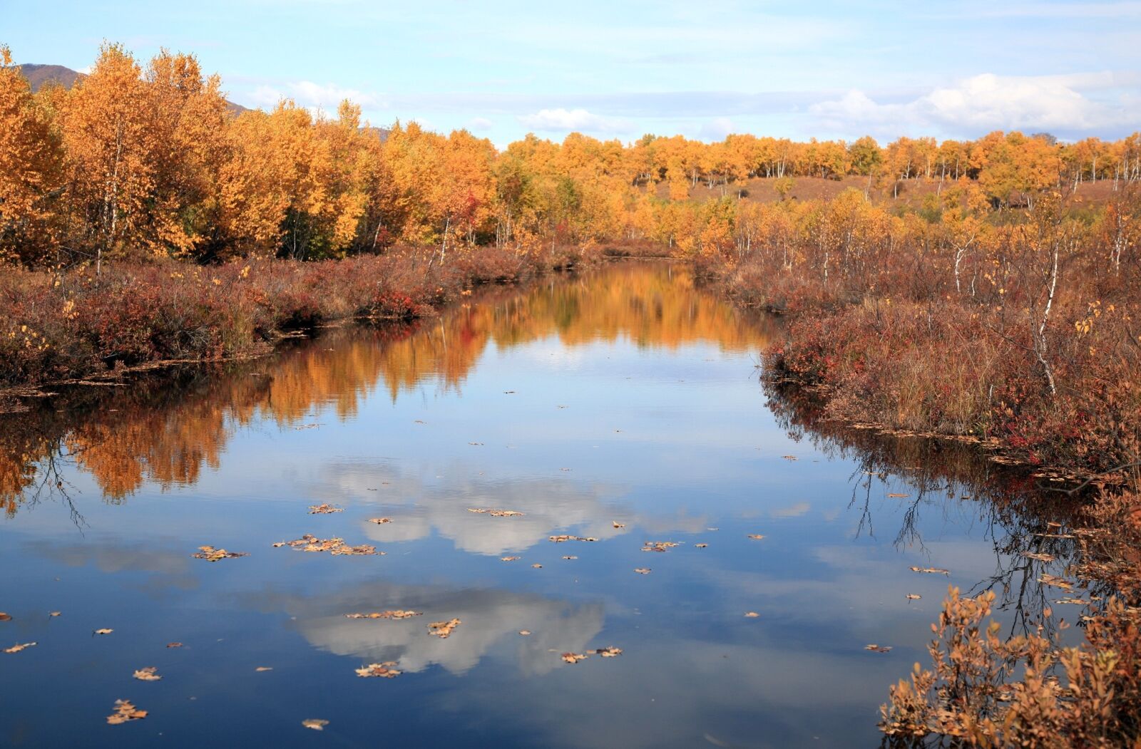 Canon EOS 5D sample photo. Autumn, forest, lake photography